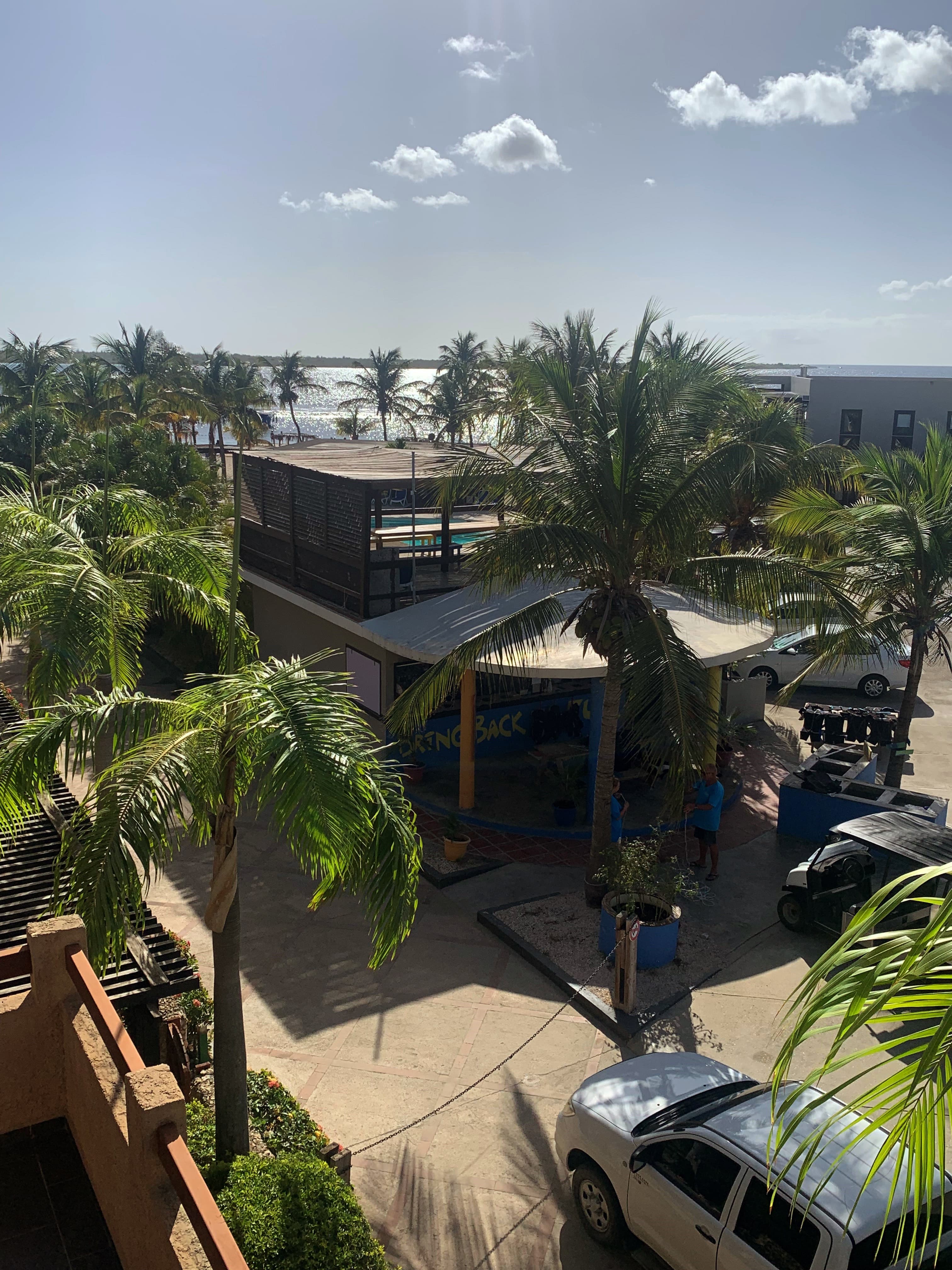 Wannadive Bonaire Eden