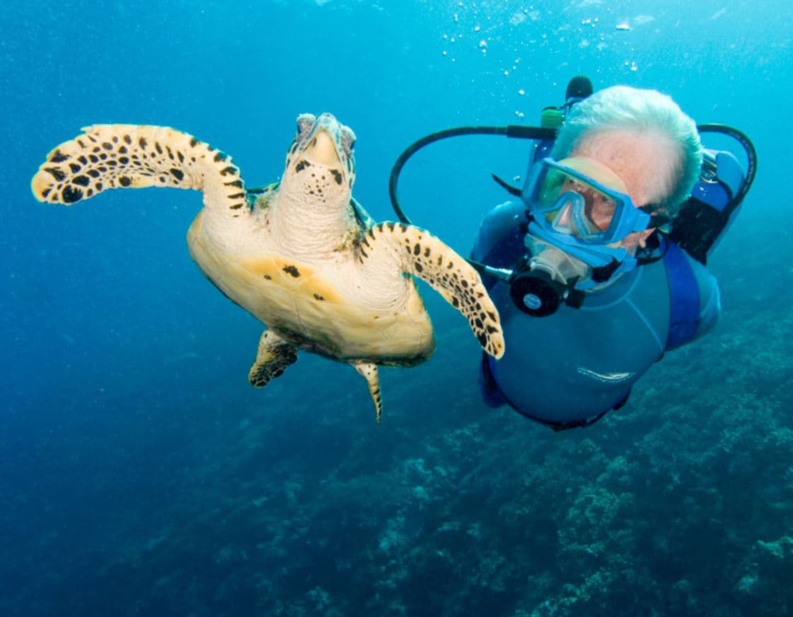 Jean-Michel Cousteau Resort