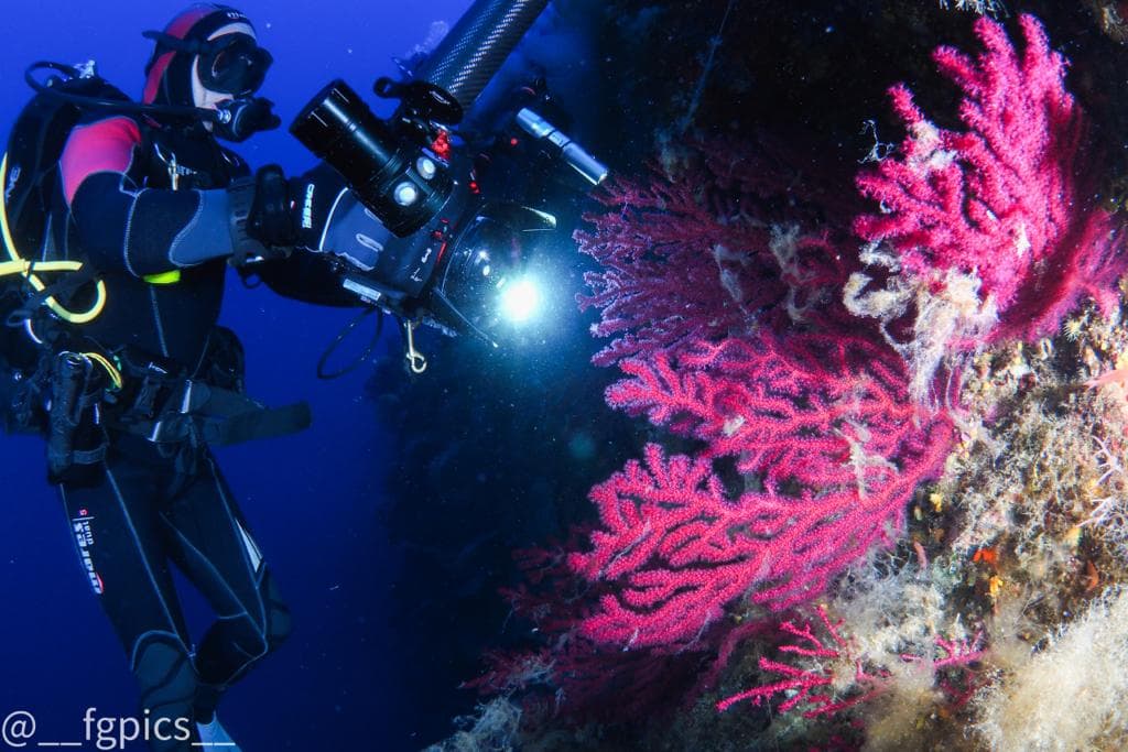 Aqua Element Diving Center