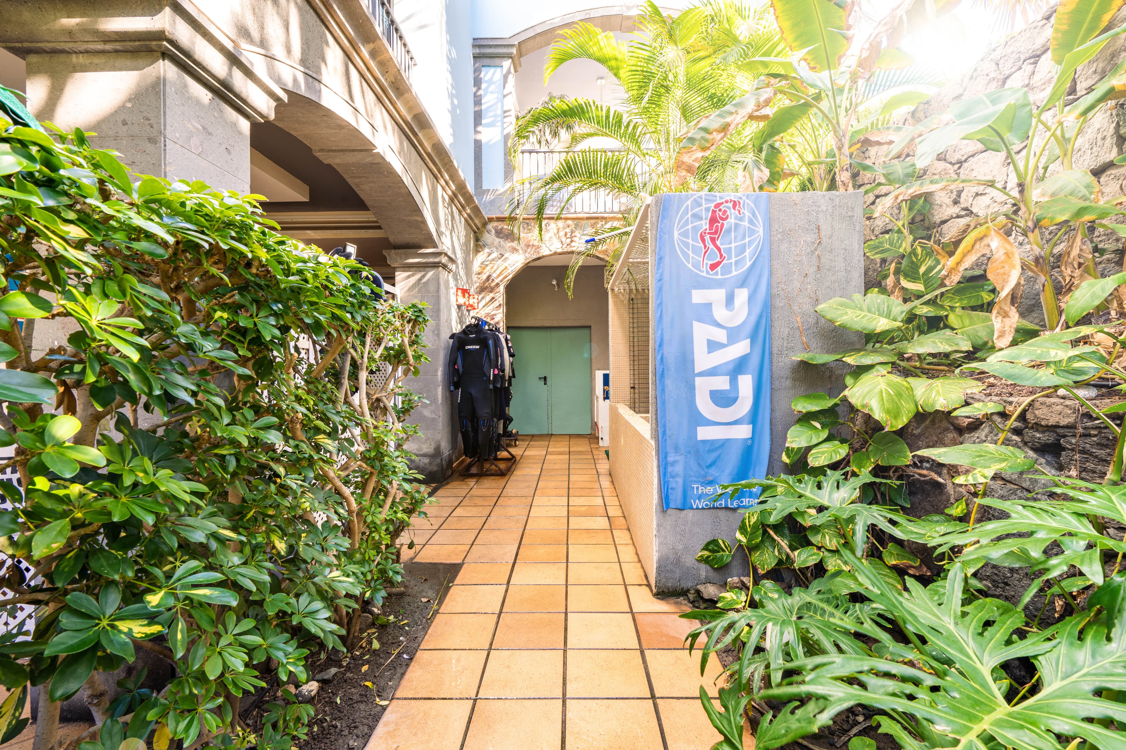 Delphinus Gran Canaria