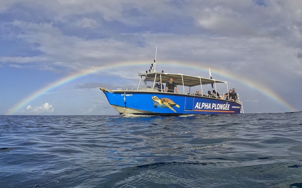 Alpha Plongee Martinique