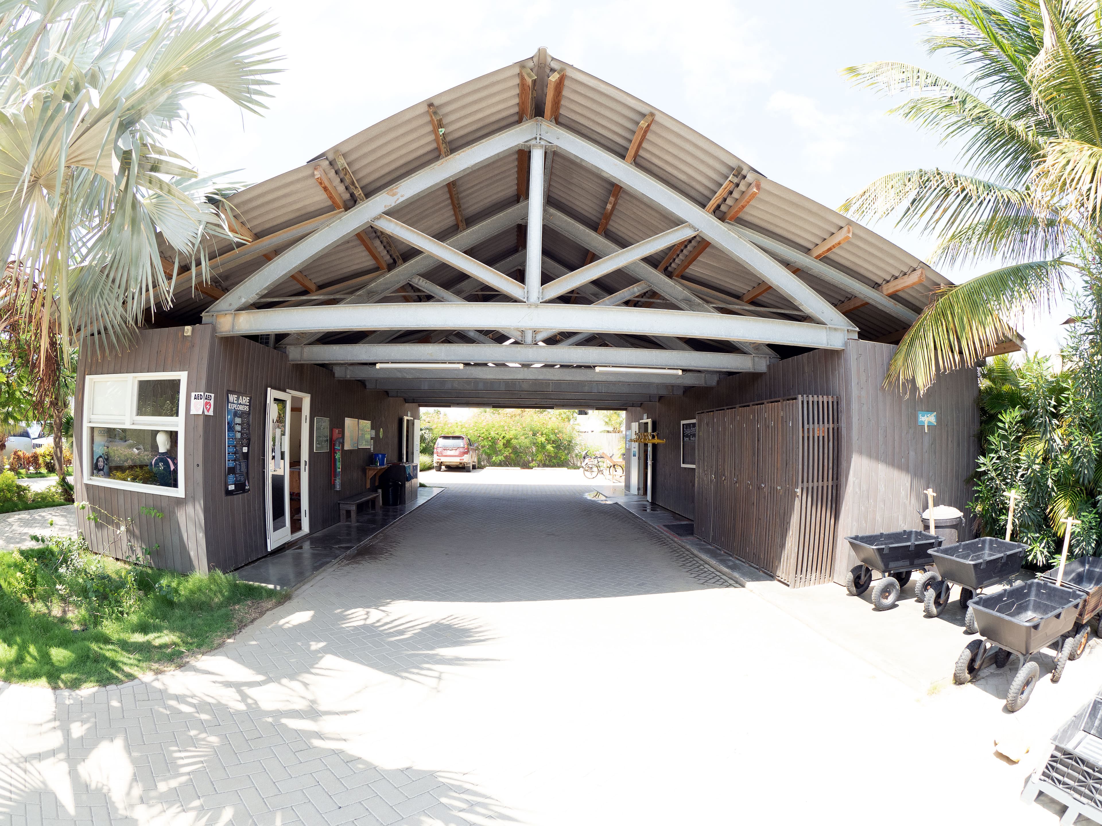 Dive Friends Bonaire @ Delfins