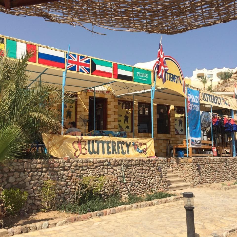 Butterfly Sharm
