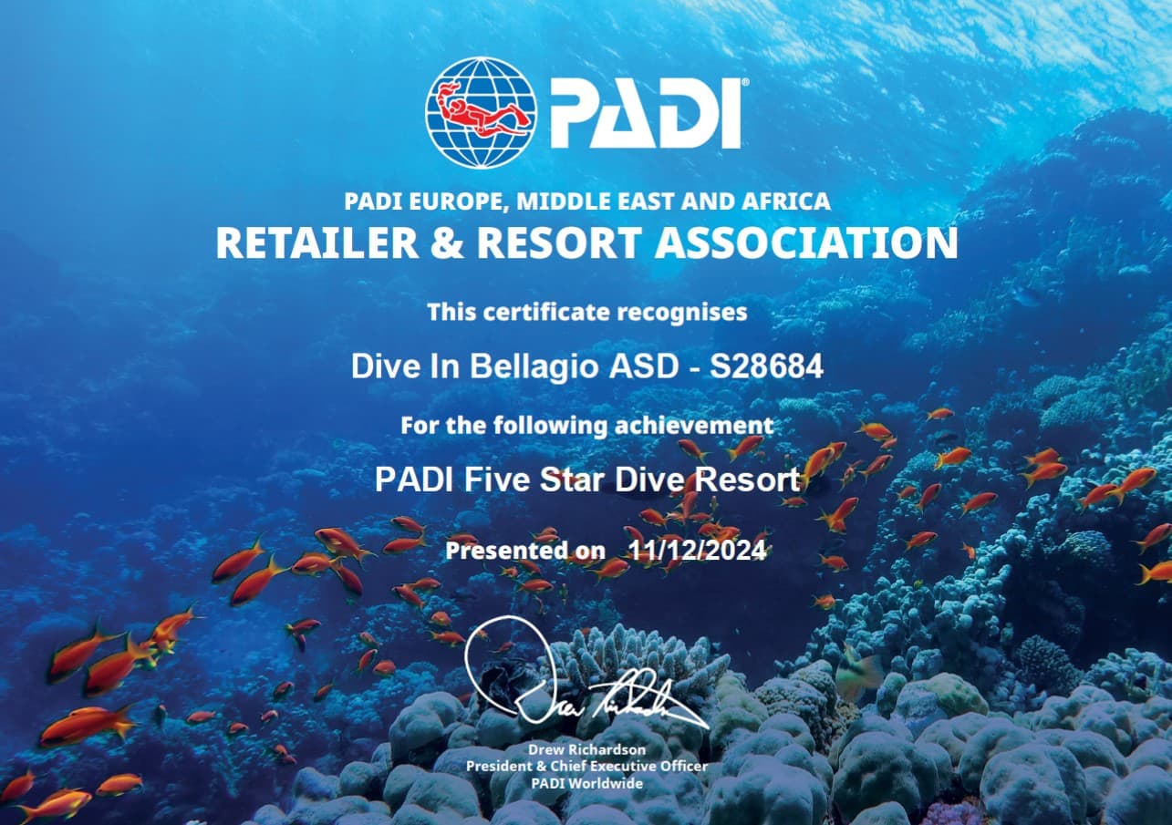 Dive In Bellagio ASD