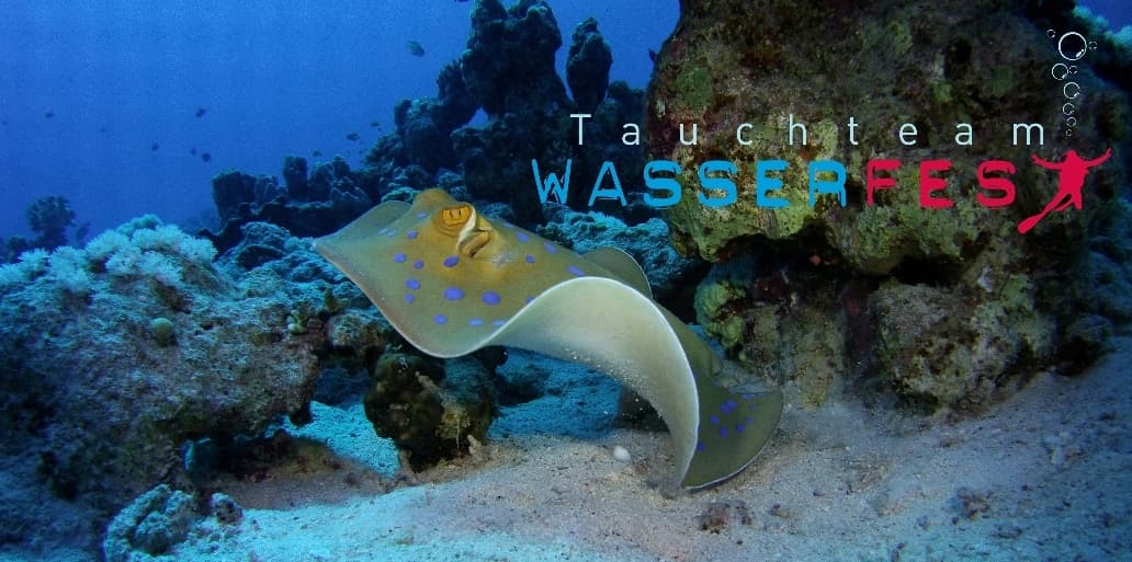 Tauchteam Wasserfest