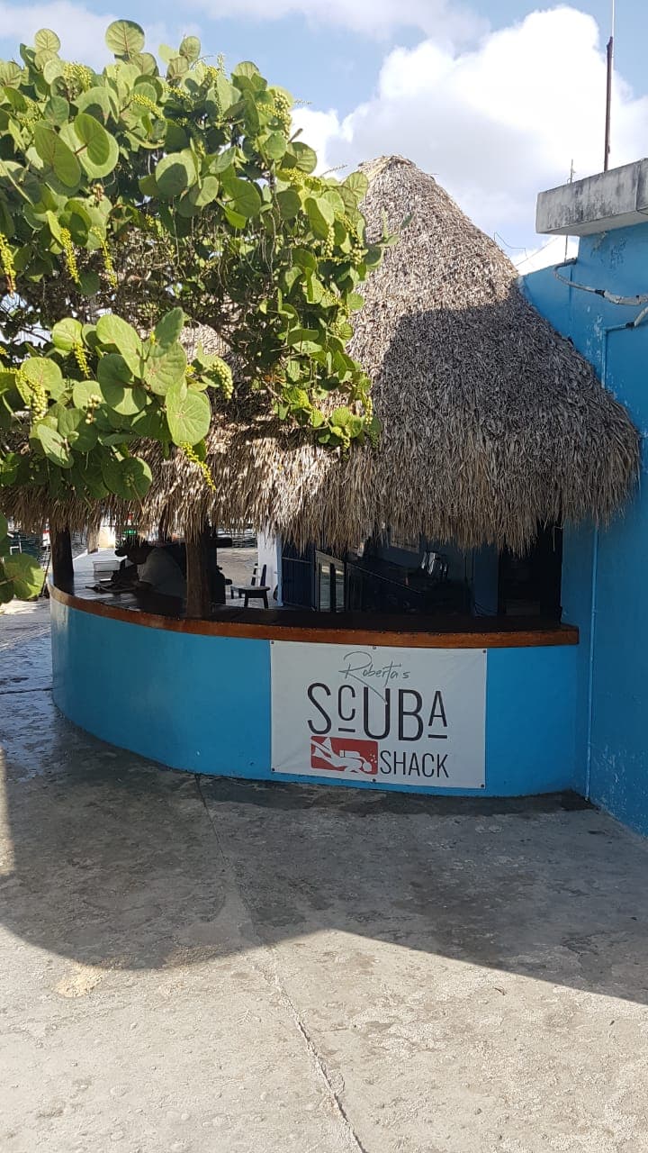 Dive Eco-Cozumel/Scuba Shack