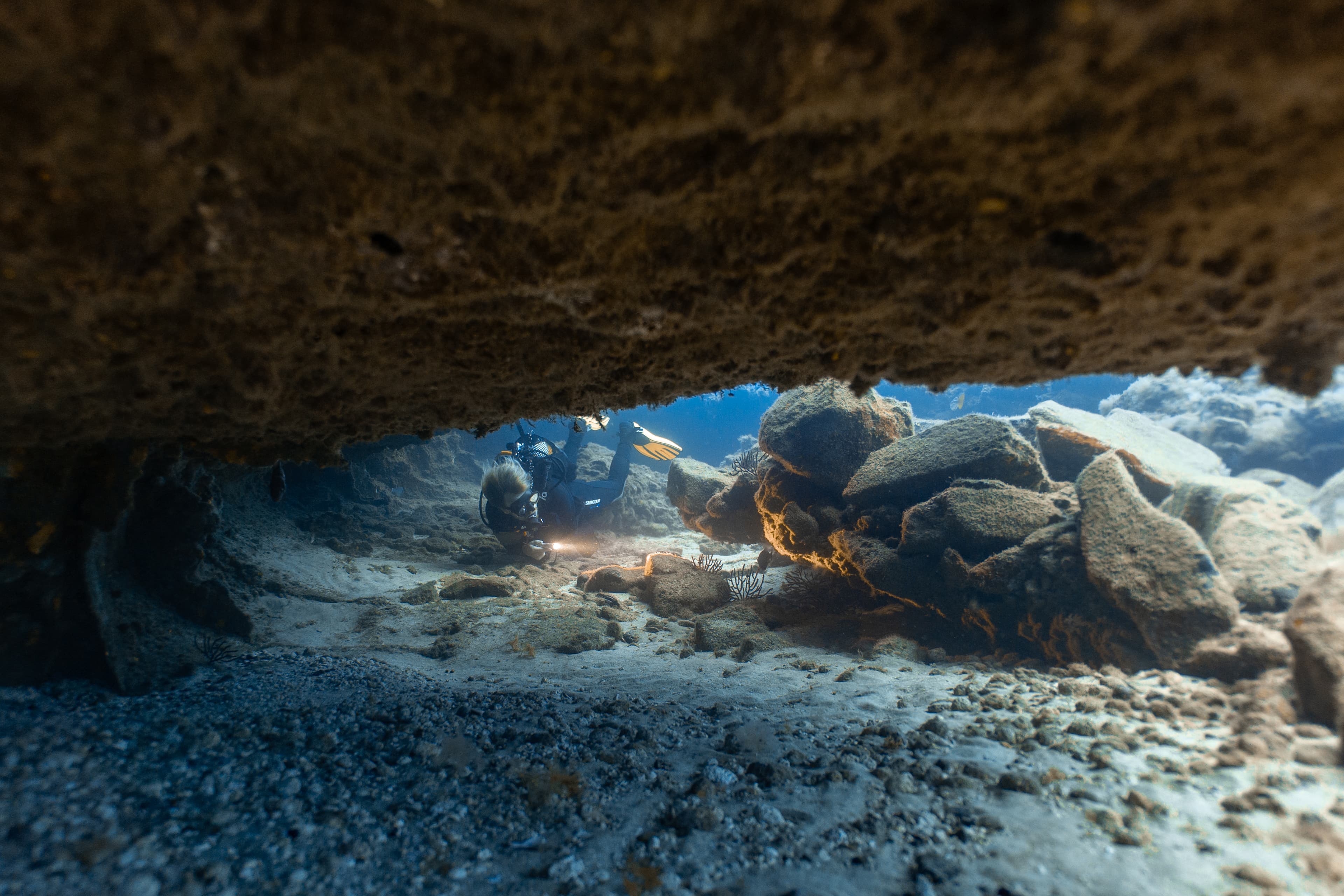 Dive Travelsub S.L.U.