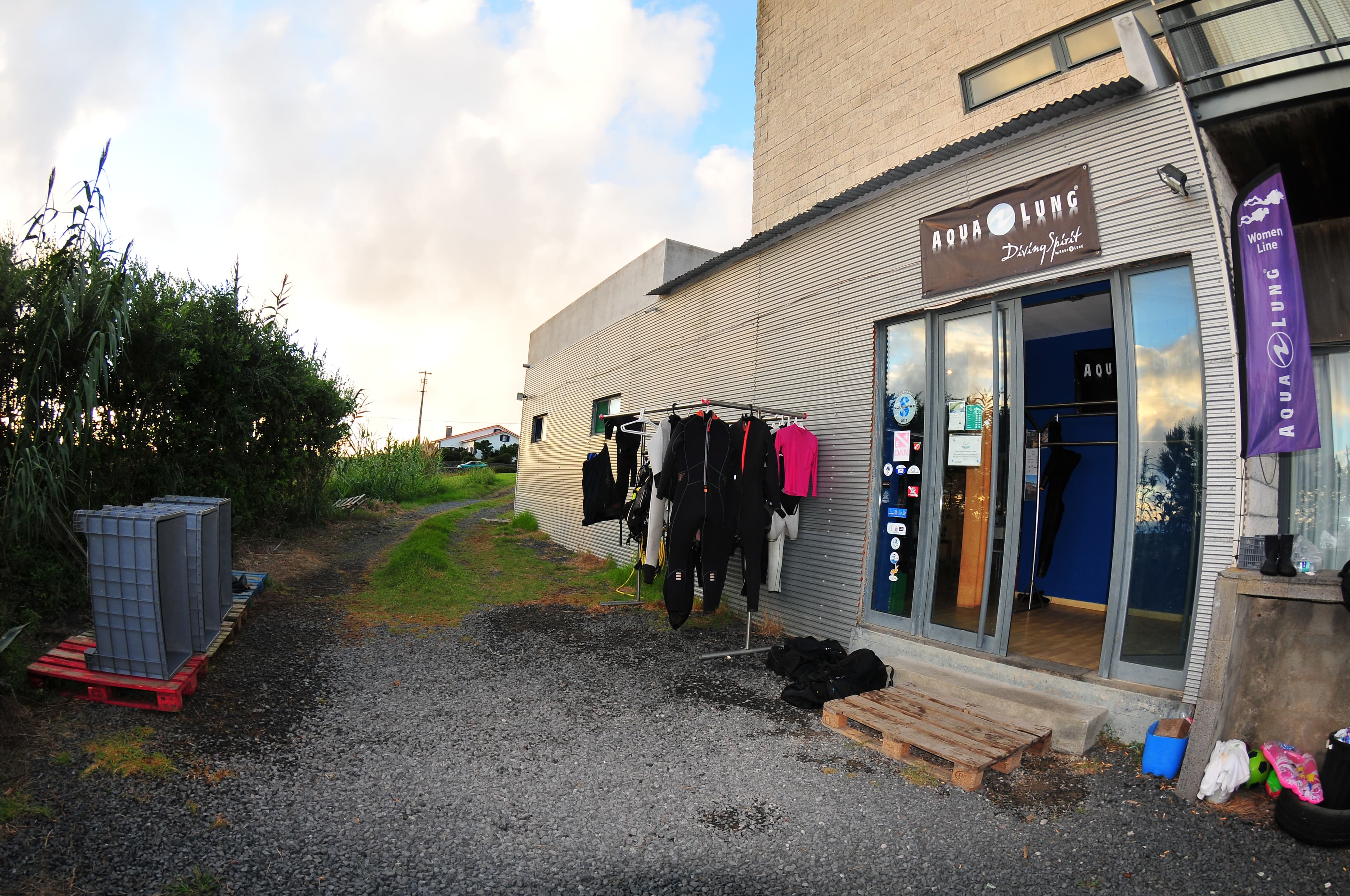 Haliotis - Santa Maria Diving Center