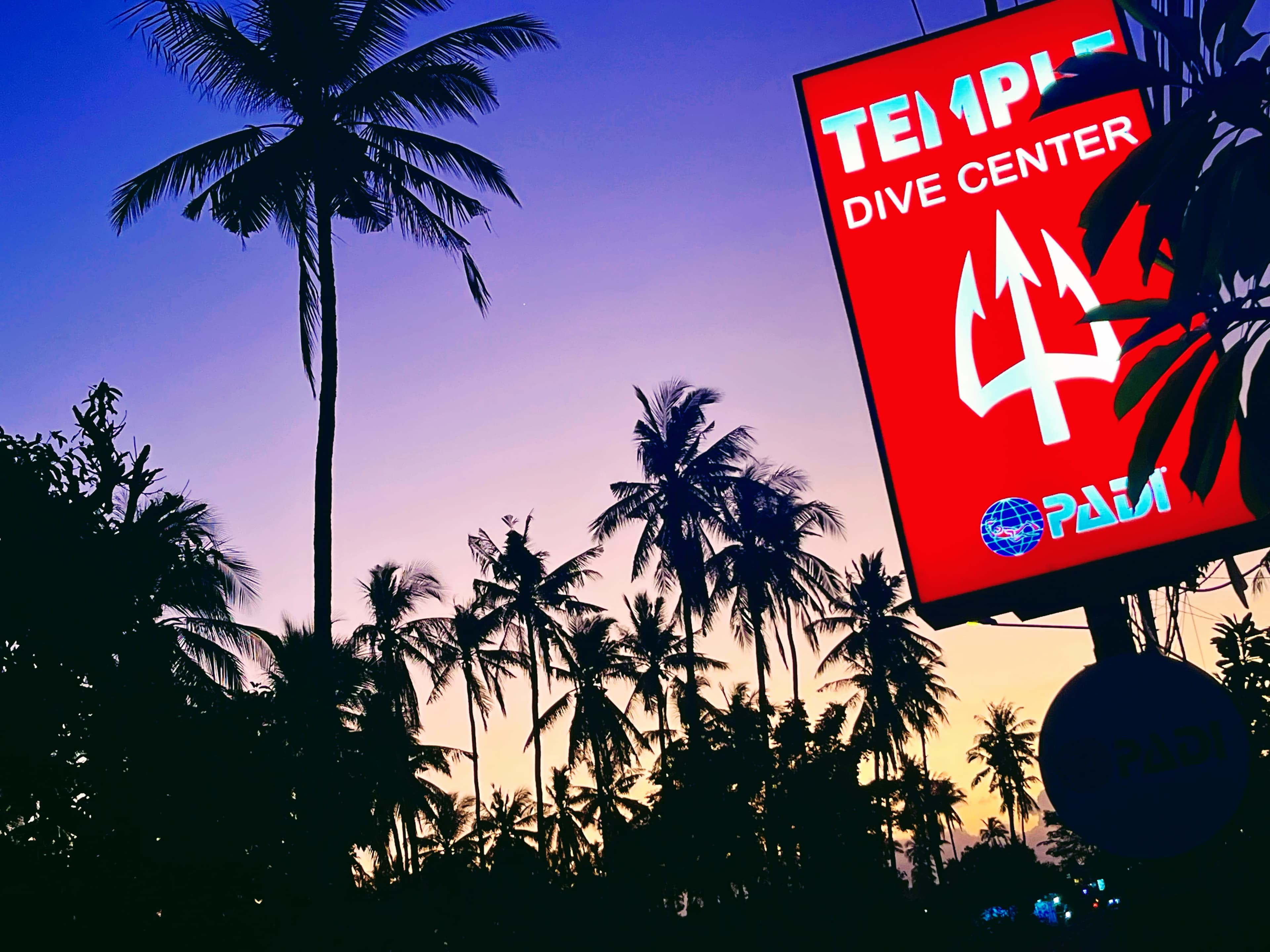 Temple Diving by Mar Adentro