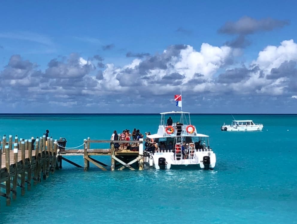 Only Blue Diving Bahamas