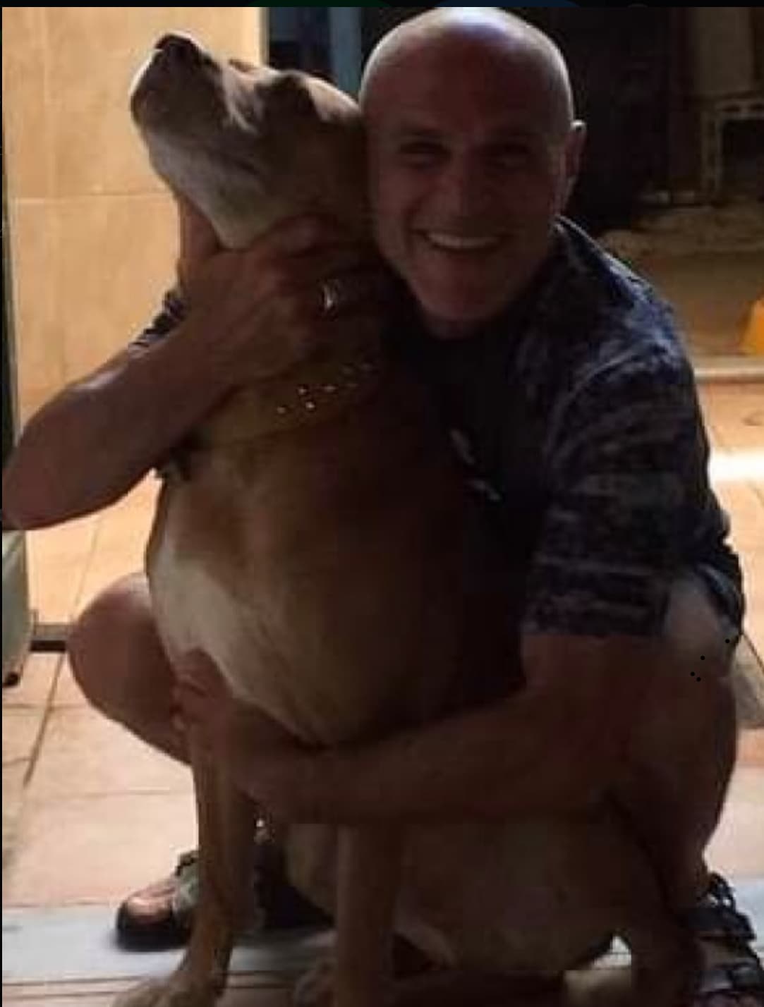 Royal Octopus Dive Center