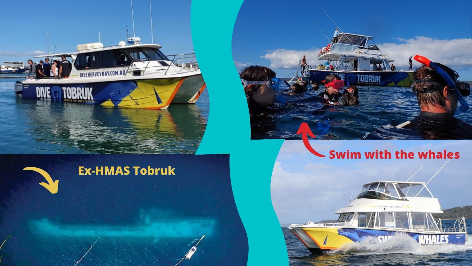 Hervey Bay Dive Centre