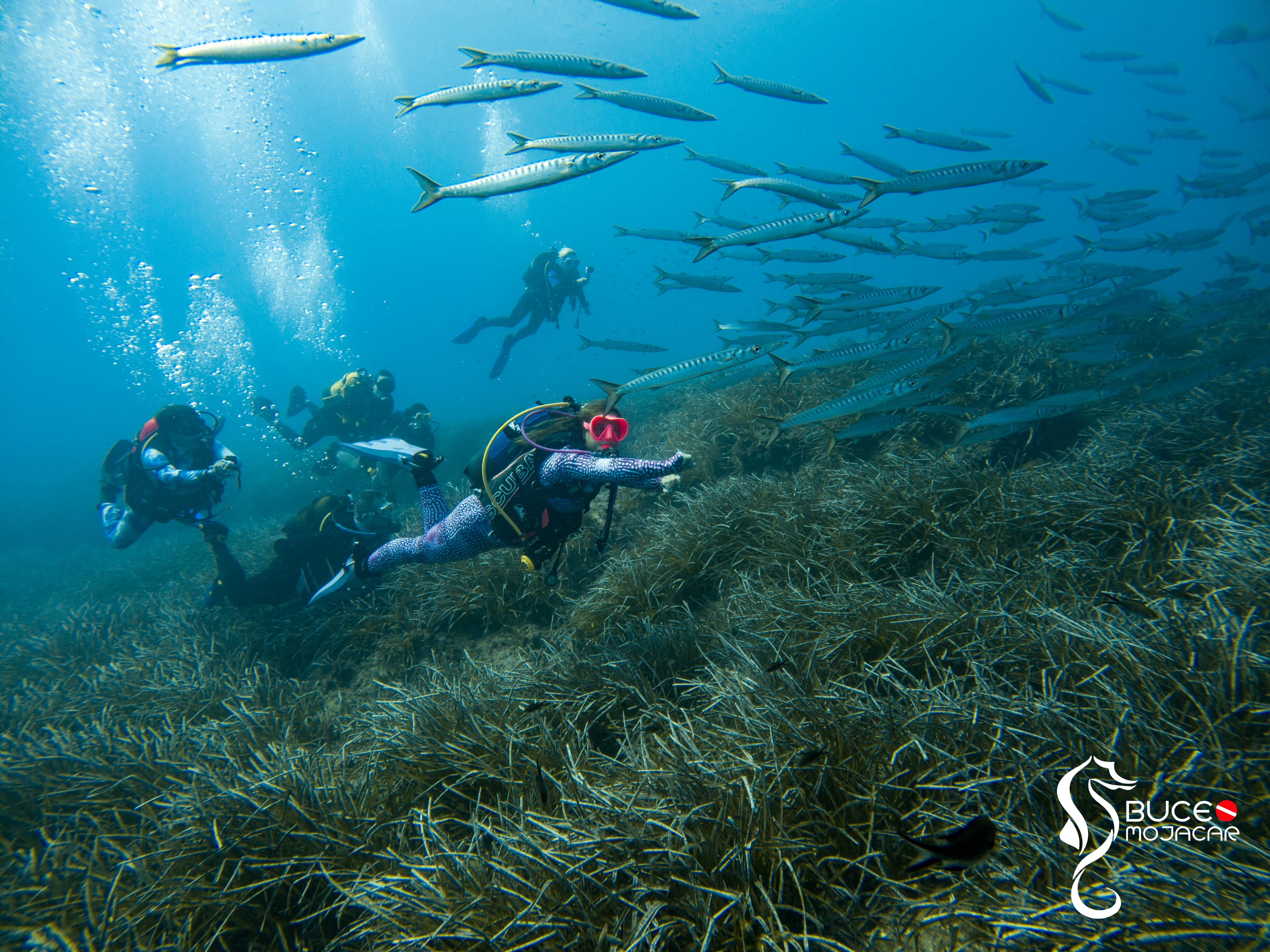 Centro de Buceo Mojacar