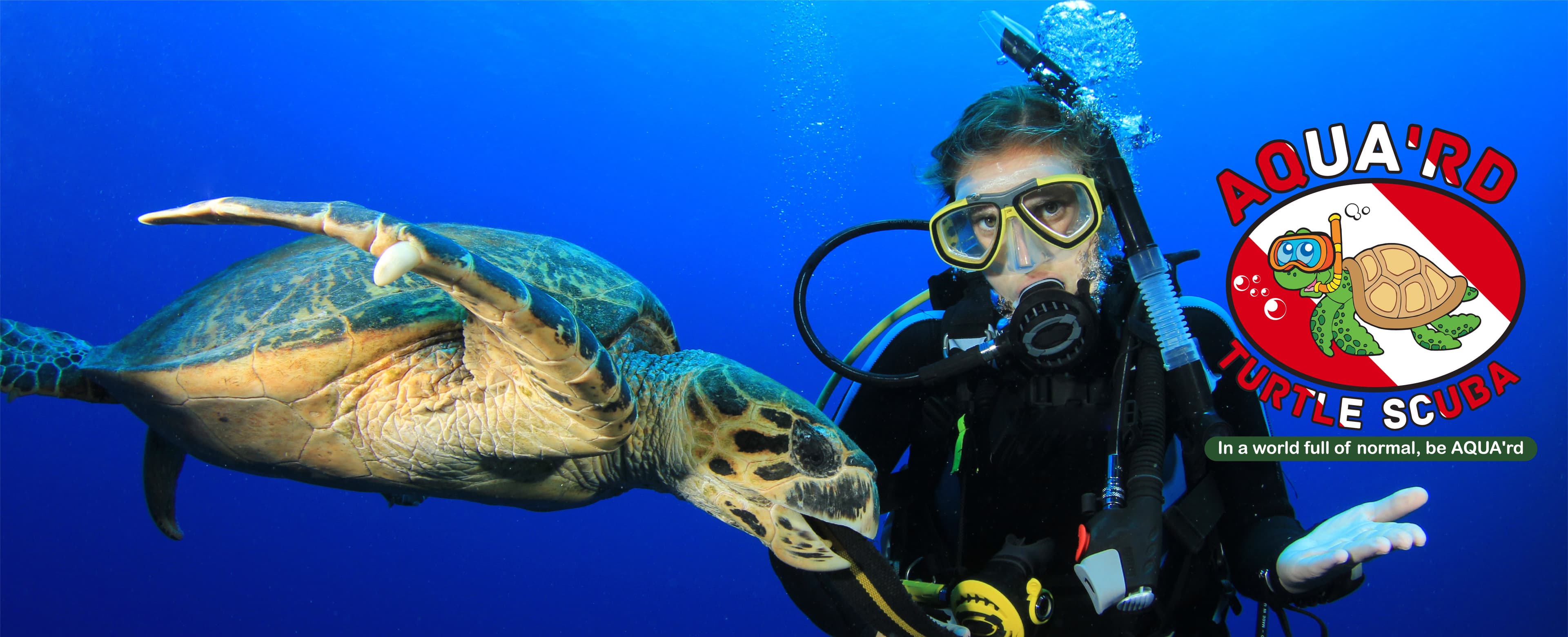 Aqua'rd Turtle Scuba