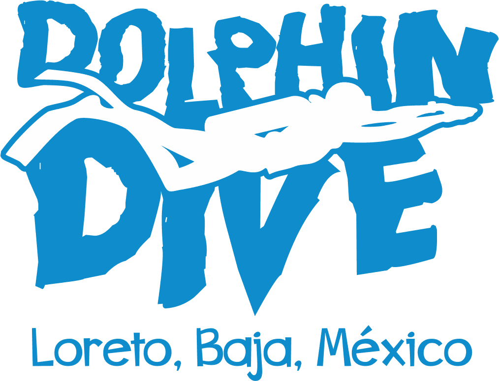 Dolphin Dive Center Loreto