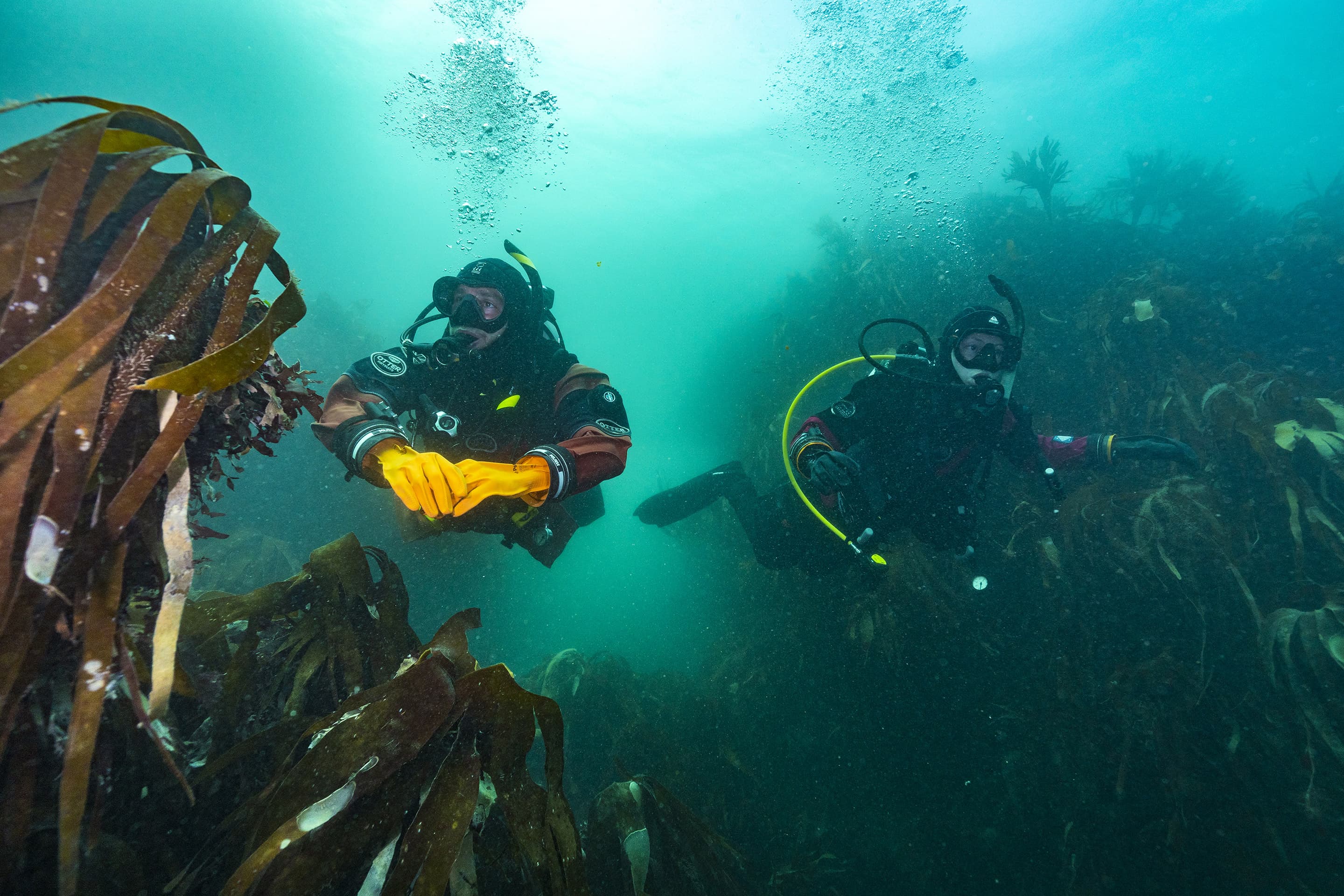 Hidden Depths Dive Centre