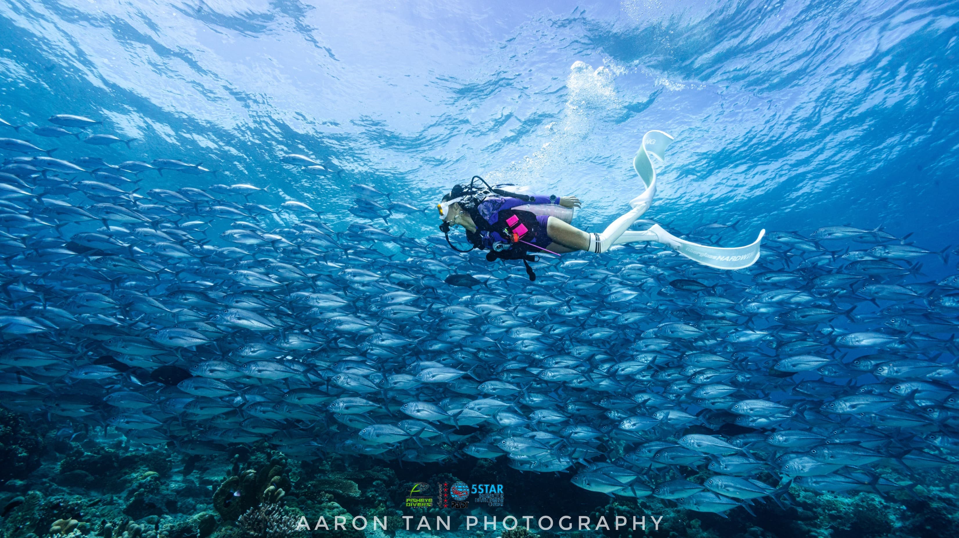 Boracay Fisheye Divers