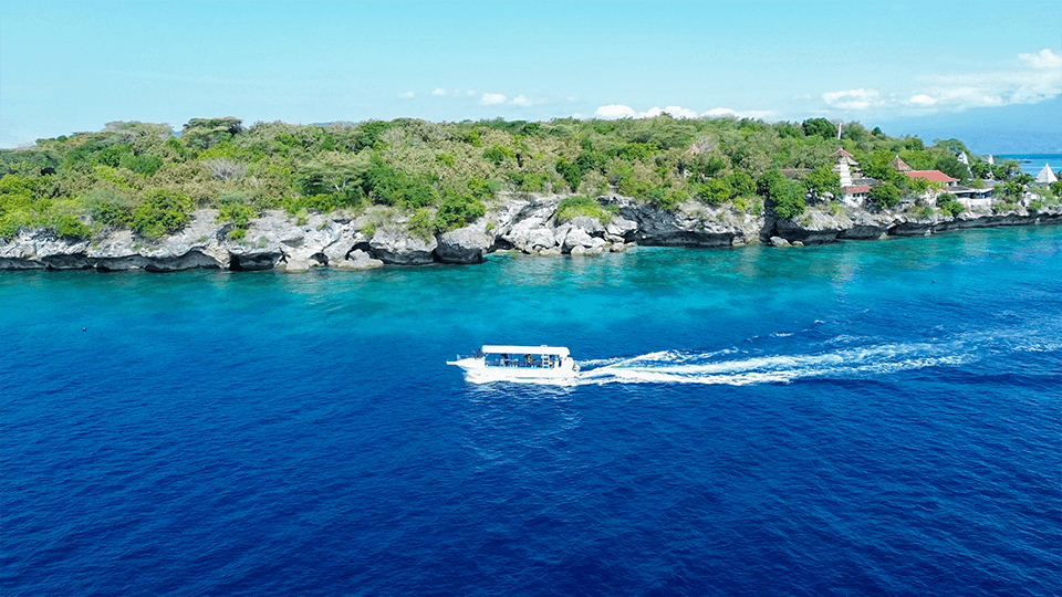 Bali Diving Academy - Pemuteran