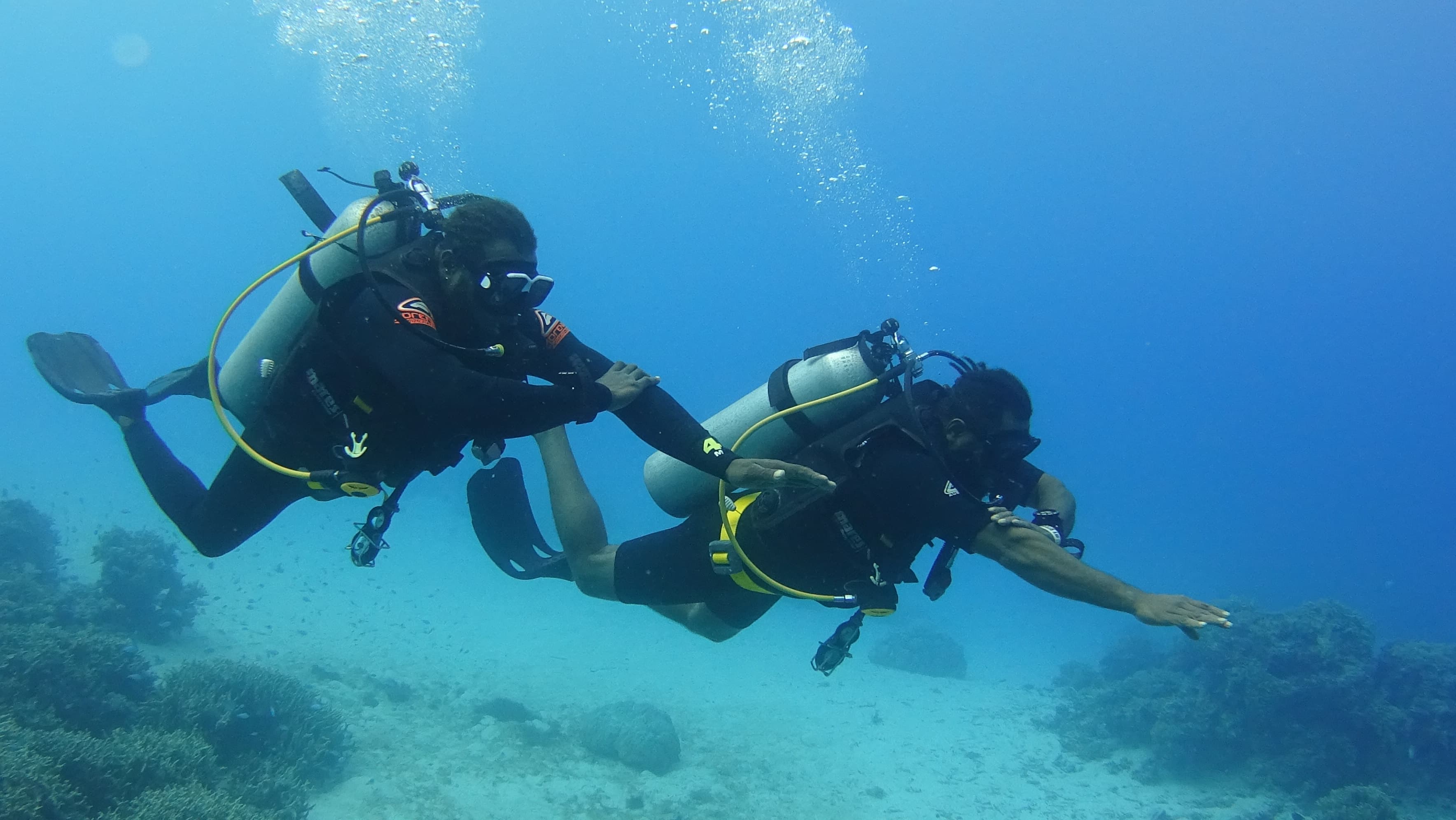 Dive @ Turtle Bay Lodge