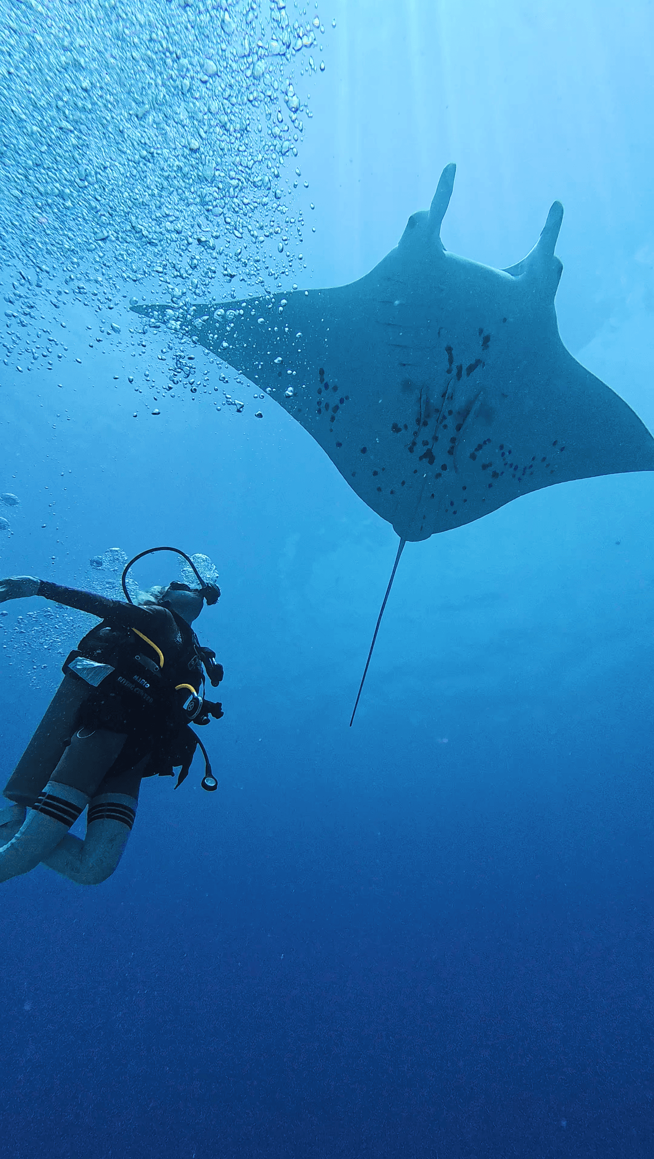 Palau Pacific Island Tour