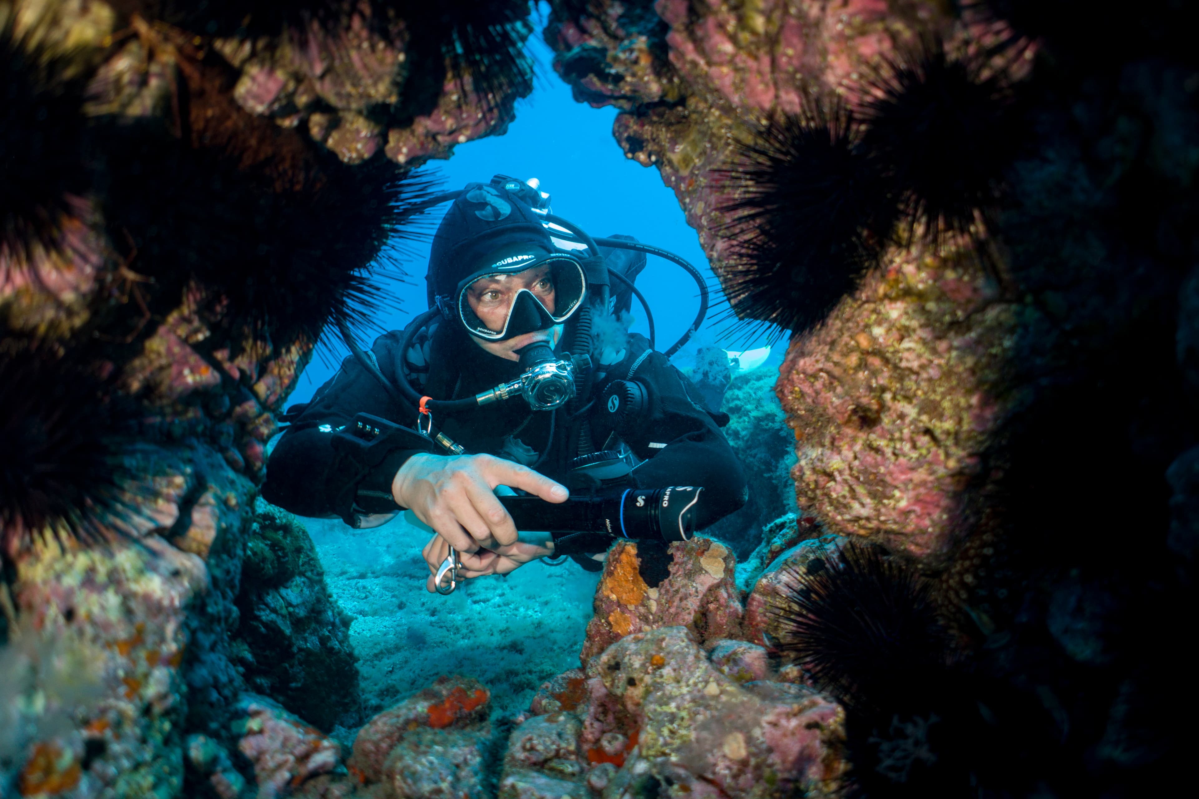 Aquarius Dive Center SL