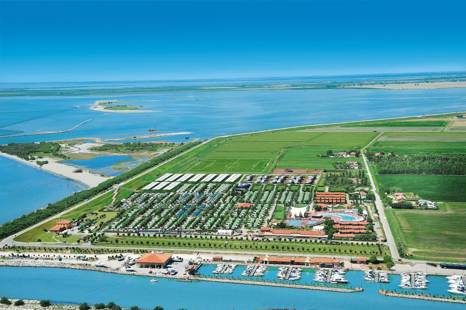 Bully Diving - Barricata