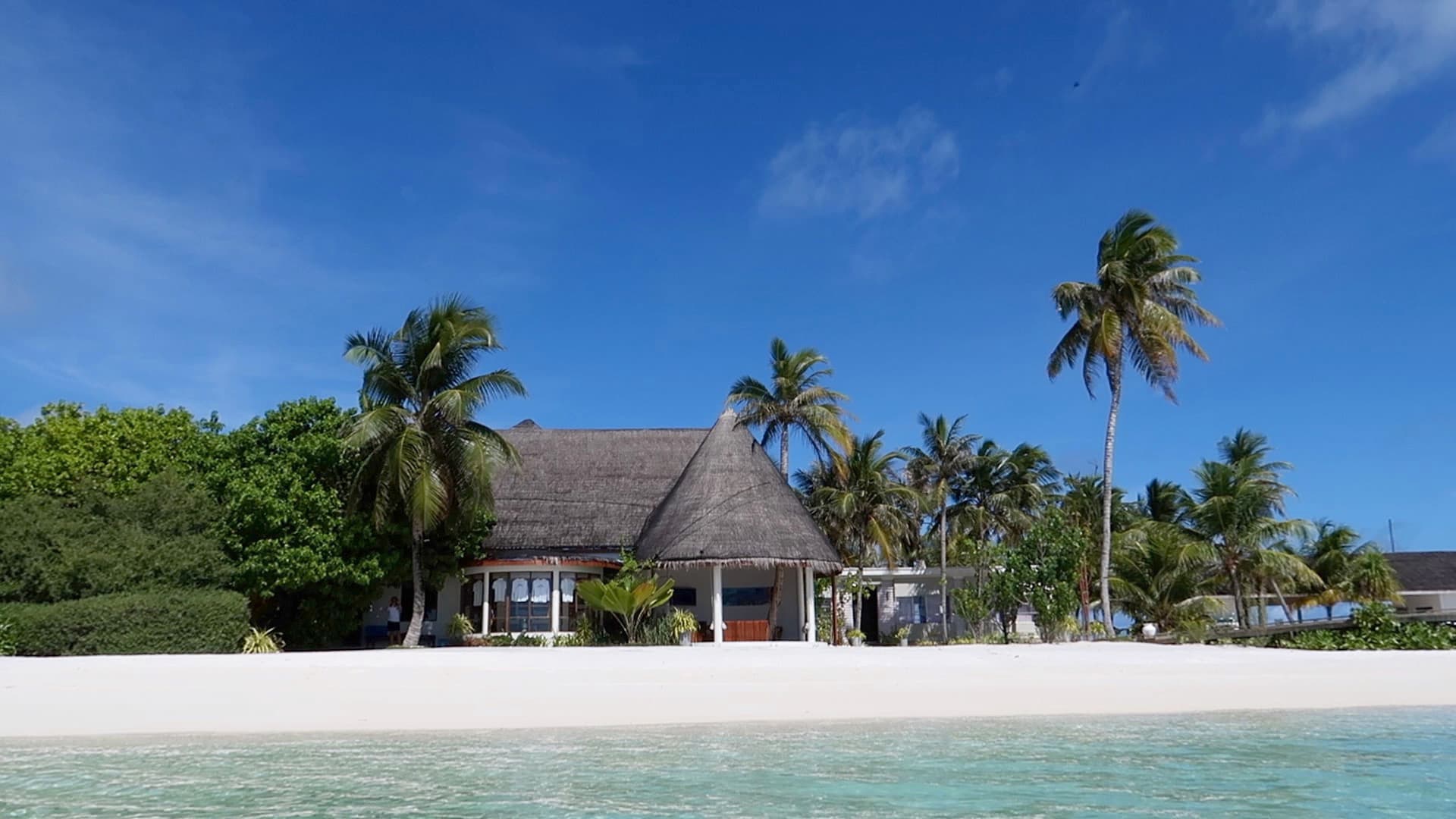 Dolphin Base - NextGen Pvt Ltd