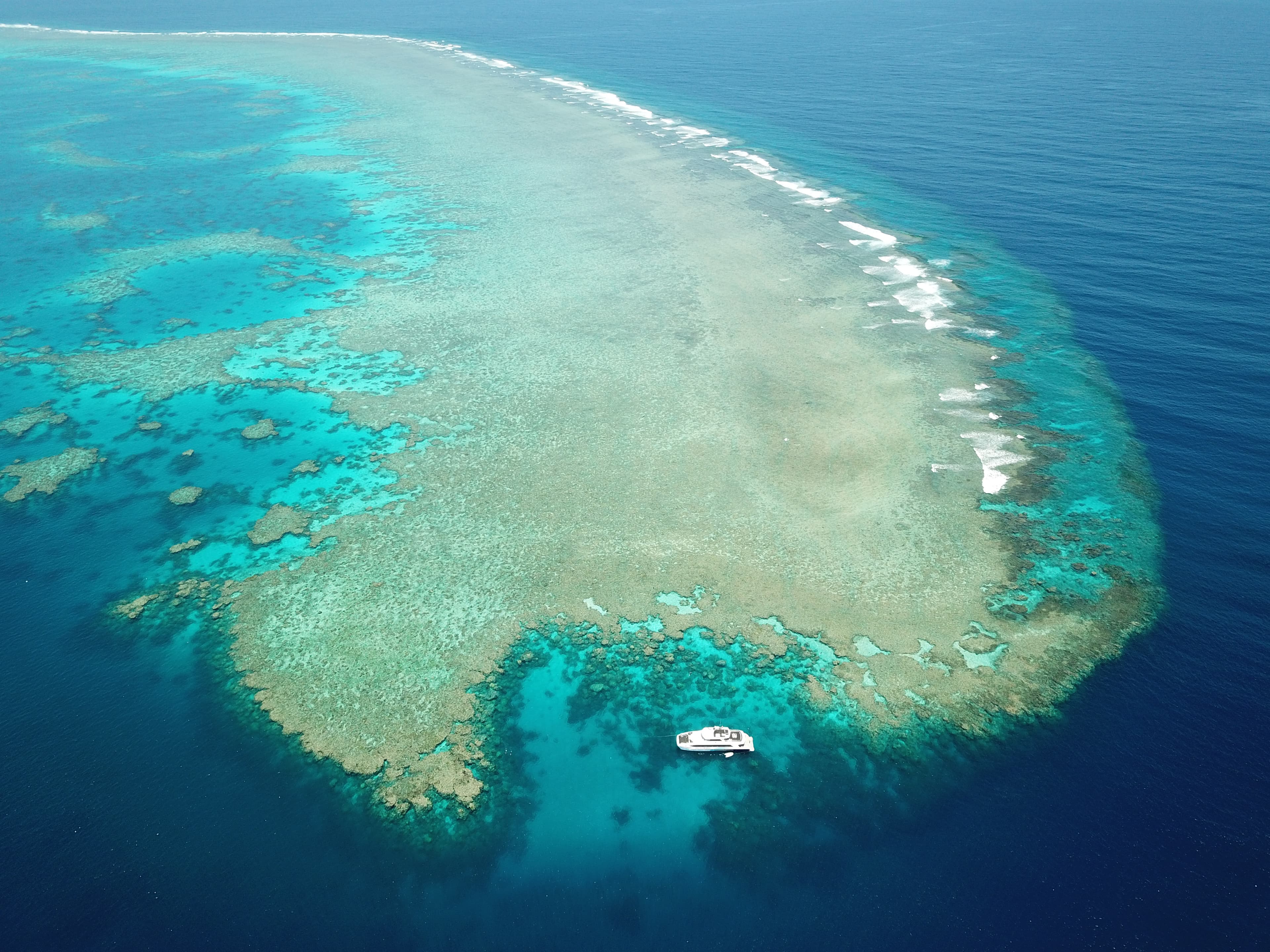 Blue Dive Port Douglas