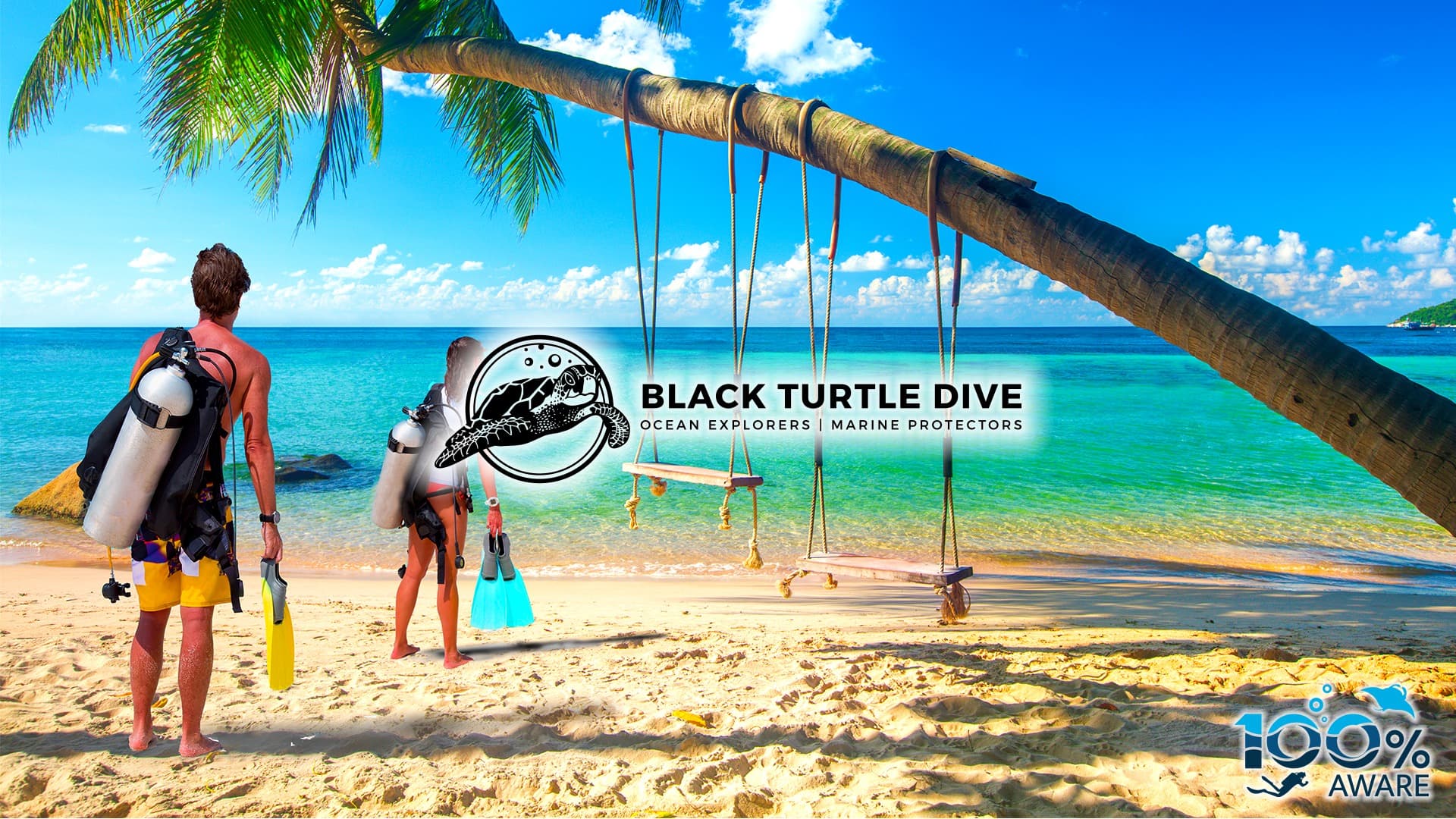 Black Turtle Dive Co, Ltd