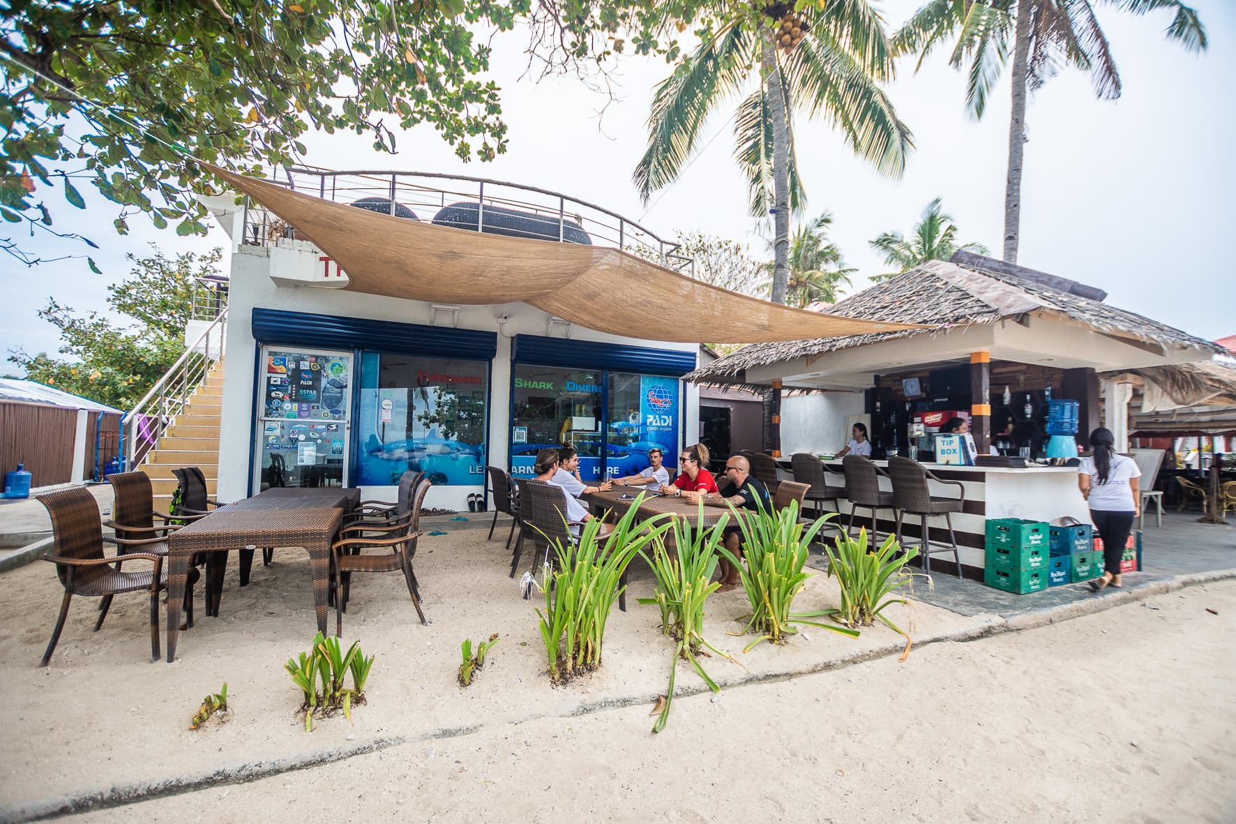 Thresher Shark Divers