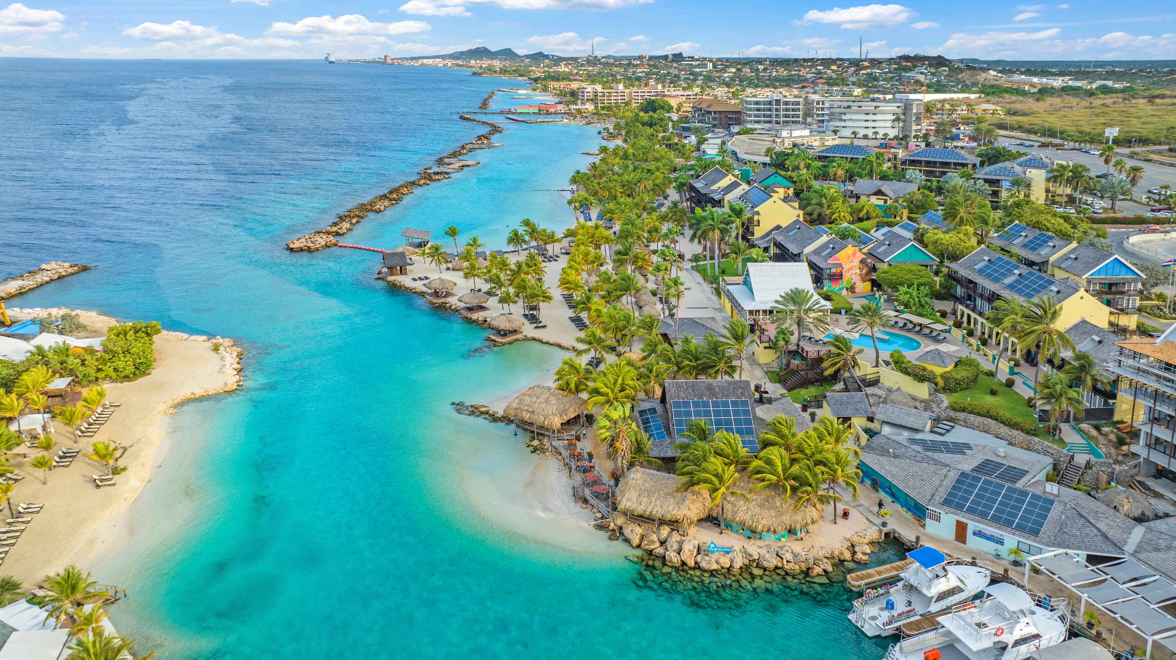 Ocean Encounters (Lions Dive &amp; Sunscape Resort)