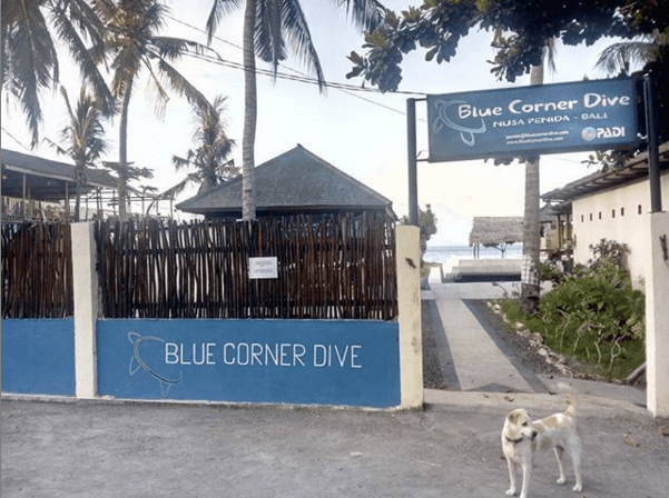 Blue Corner Dive Penida
