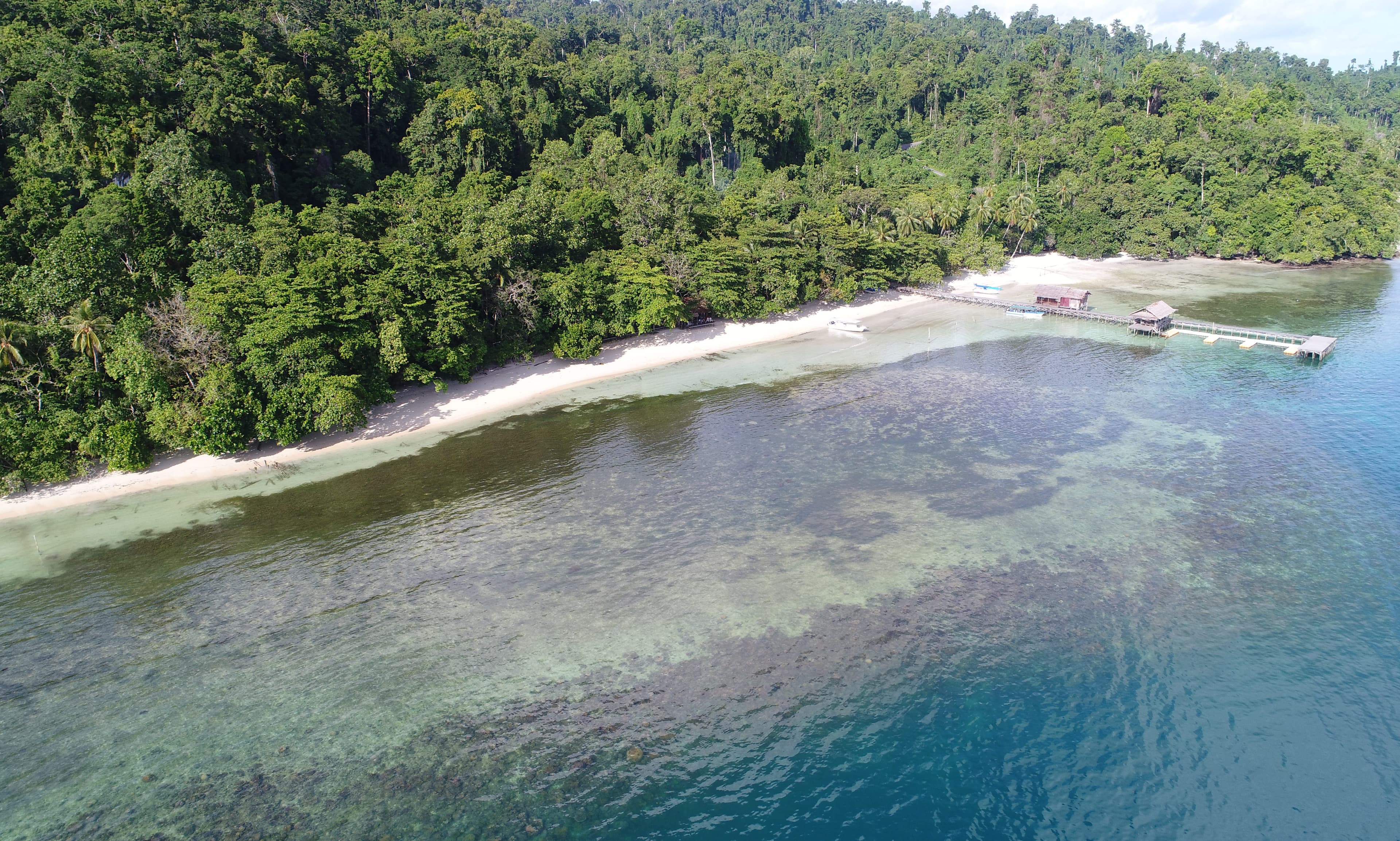 Dive into Raja Ampat