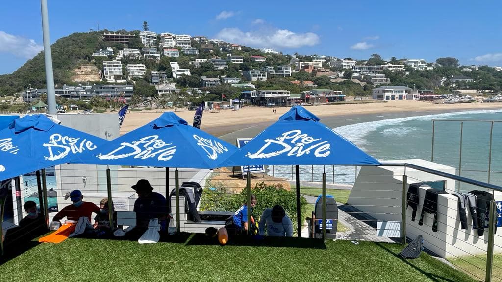 Pro Dive - Plettenberg Bay