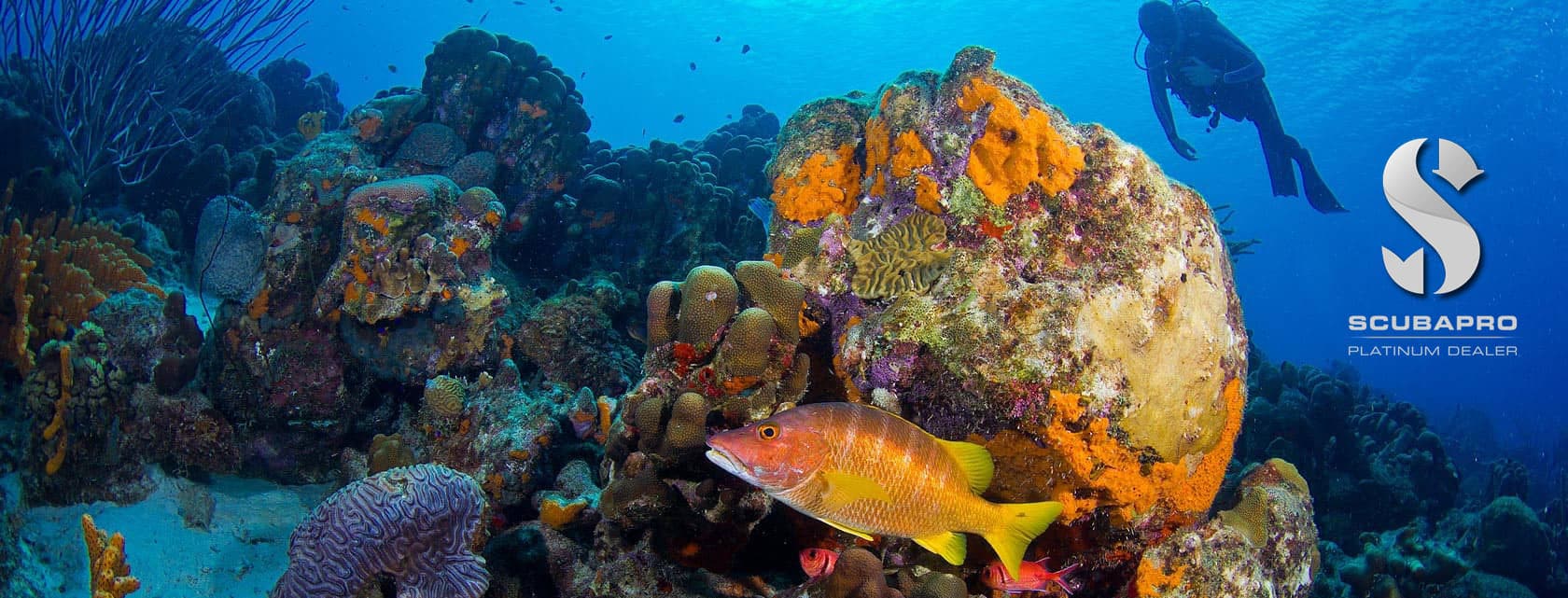 Ocean Extreme Dive and Travel Center