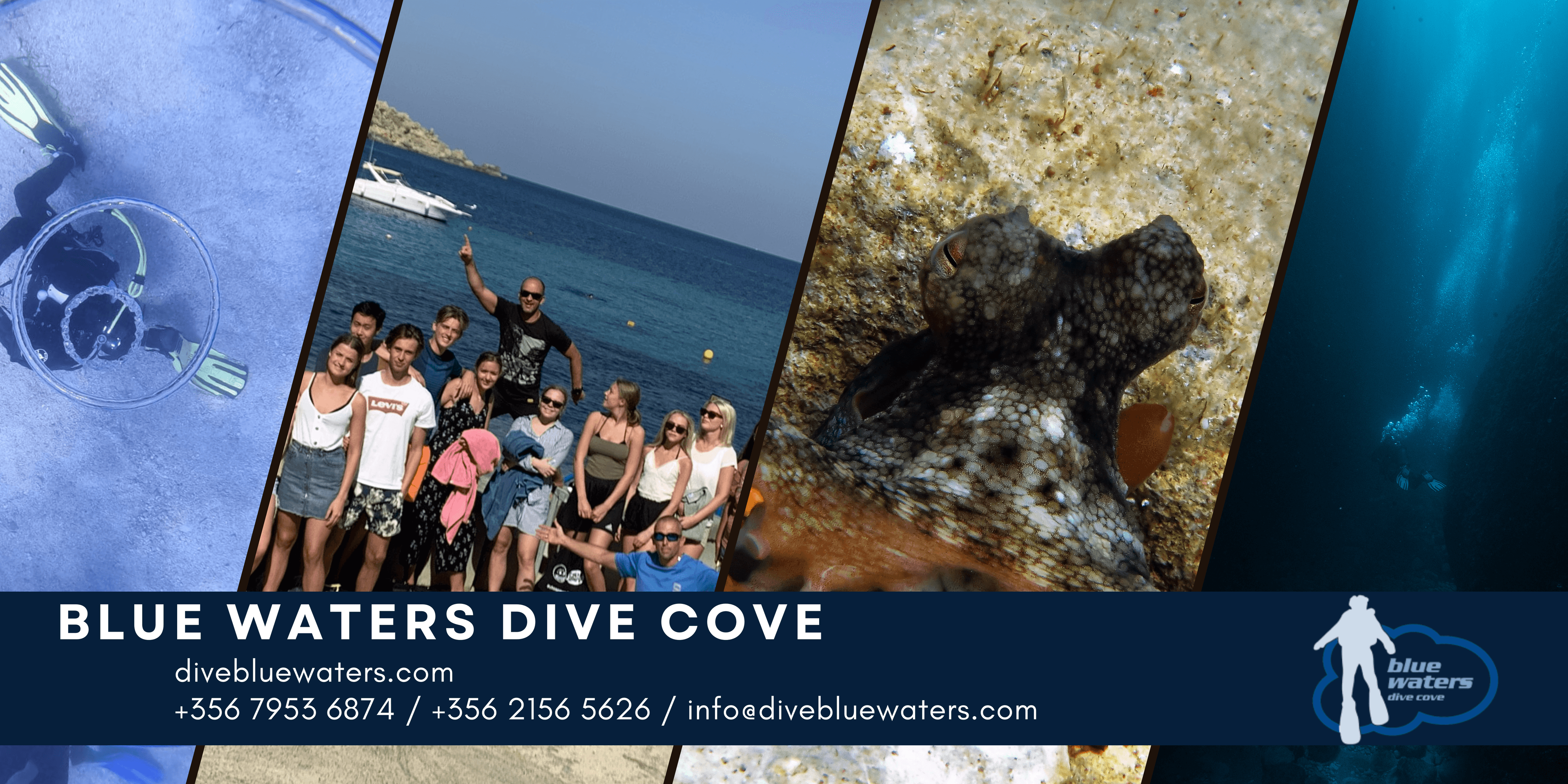 Blue Waters Dive Cove