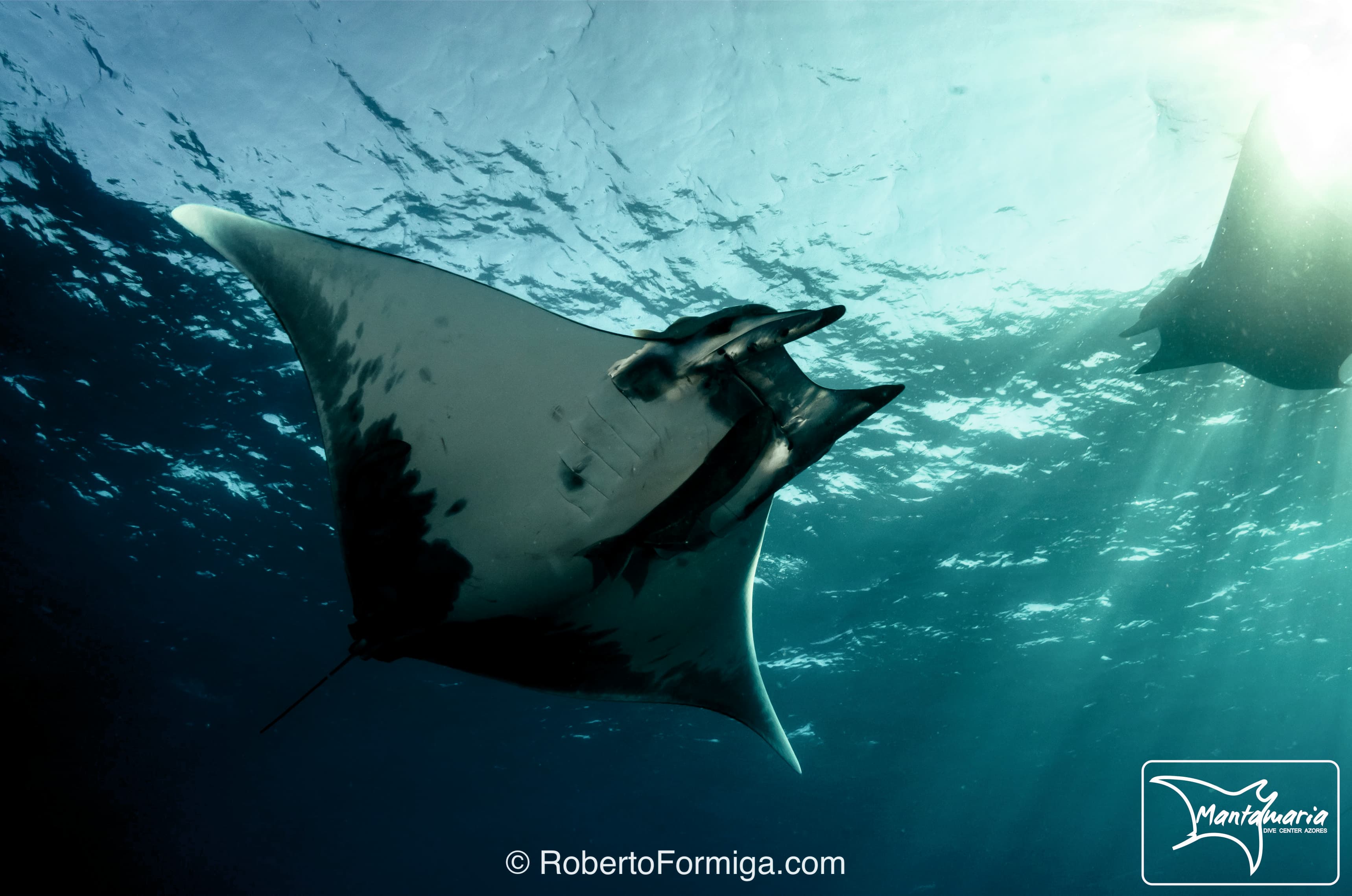 Mantamaria Dive Center