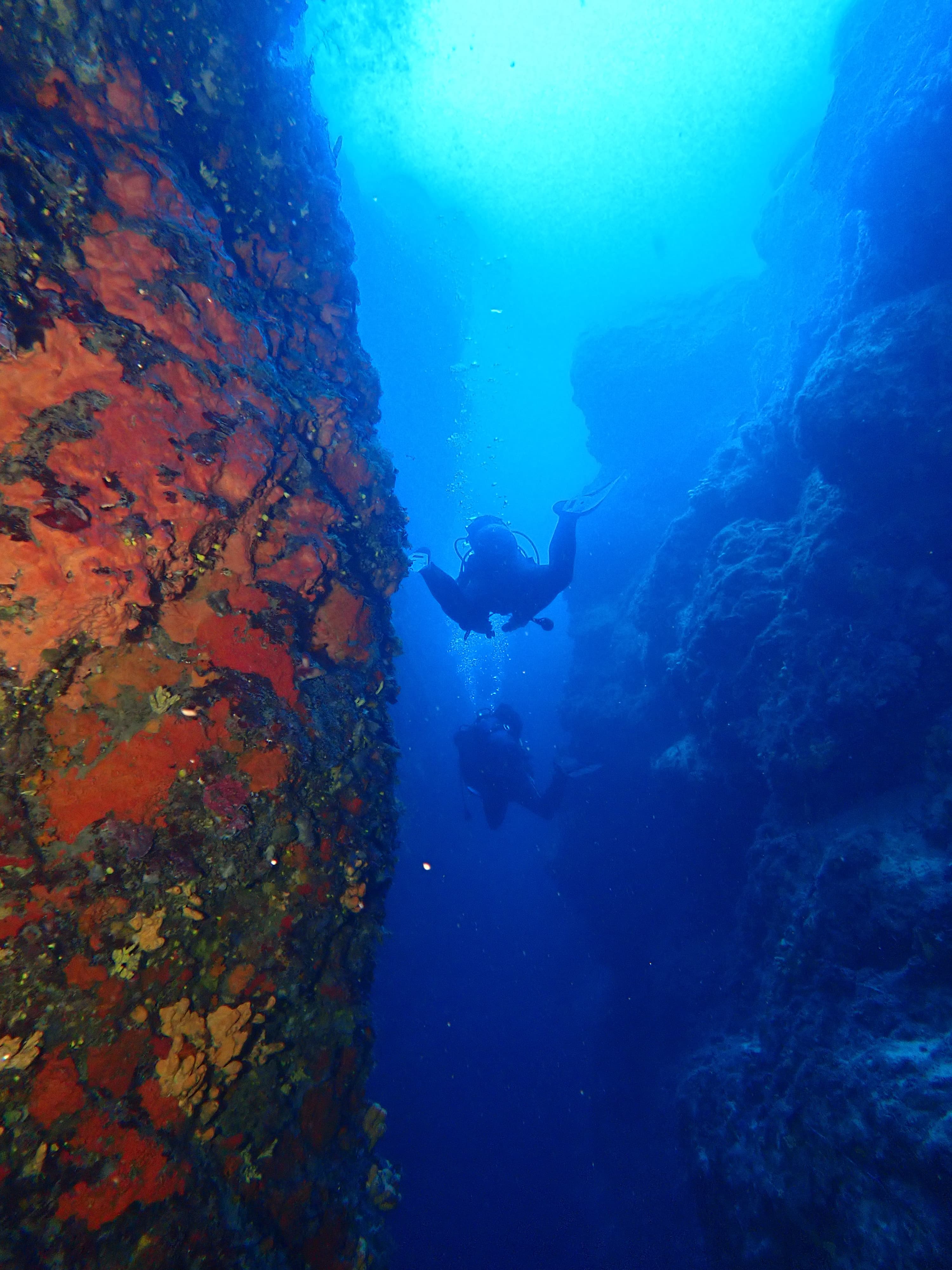 Volcano Bubbles Diving School
