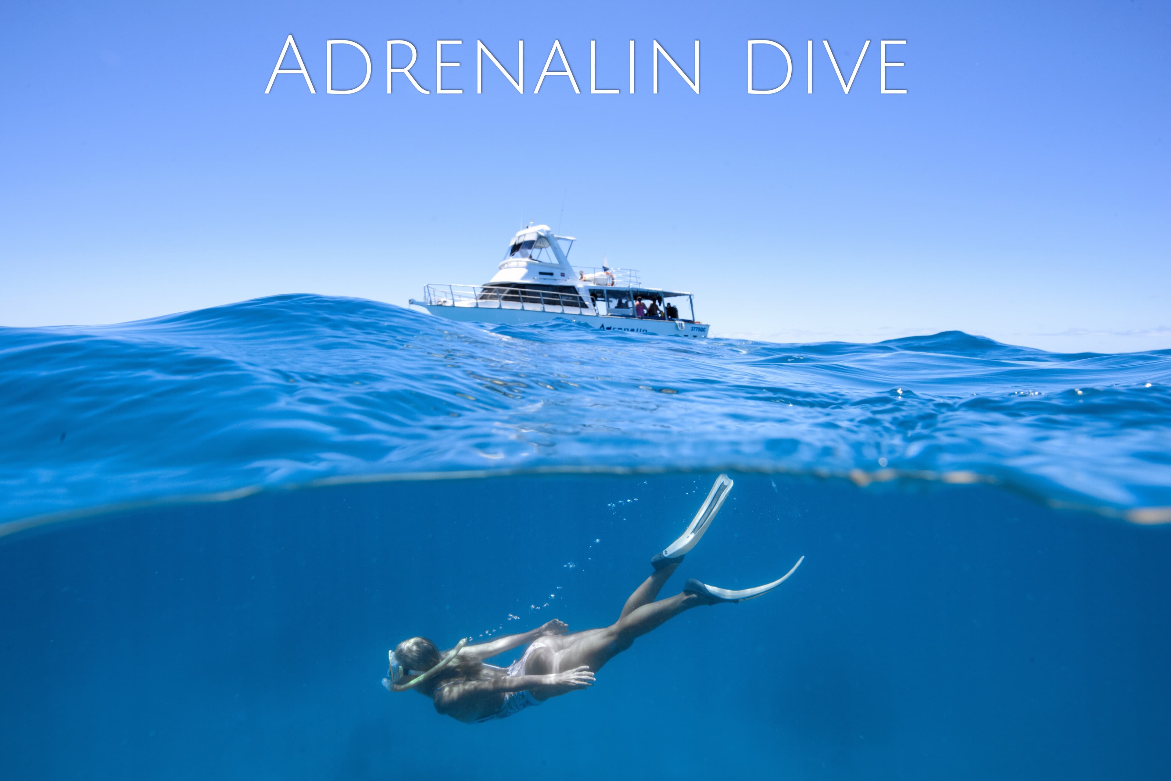 Adrenalin Snorkel &amp; Dive