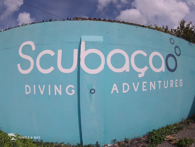 Scubacao Diving Adventures
