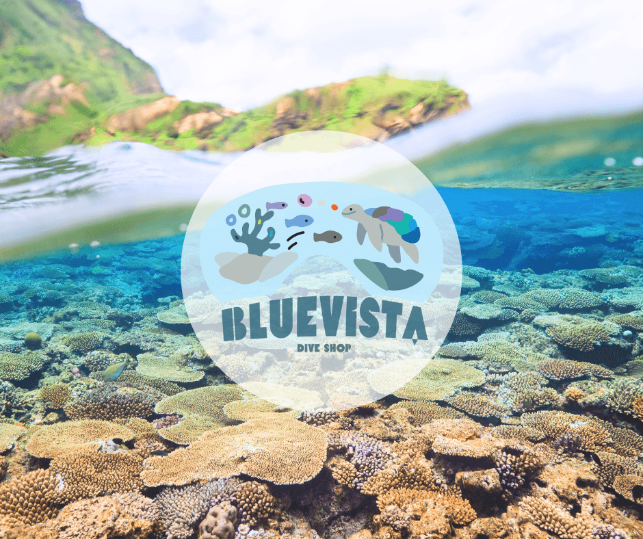 Blue Vista Dive