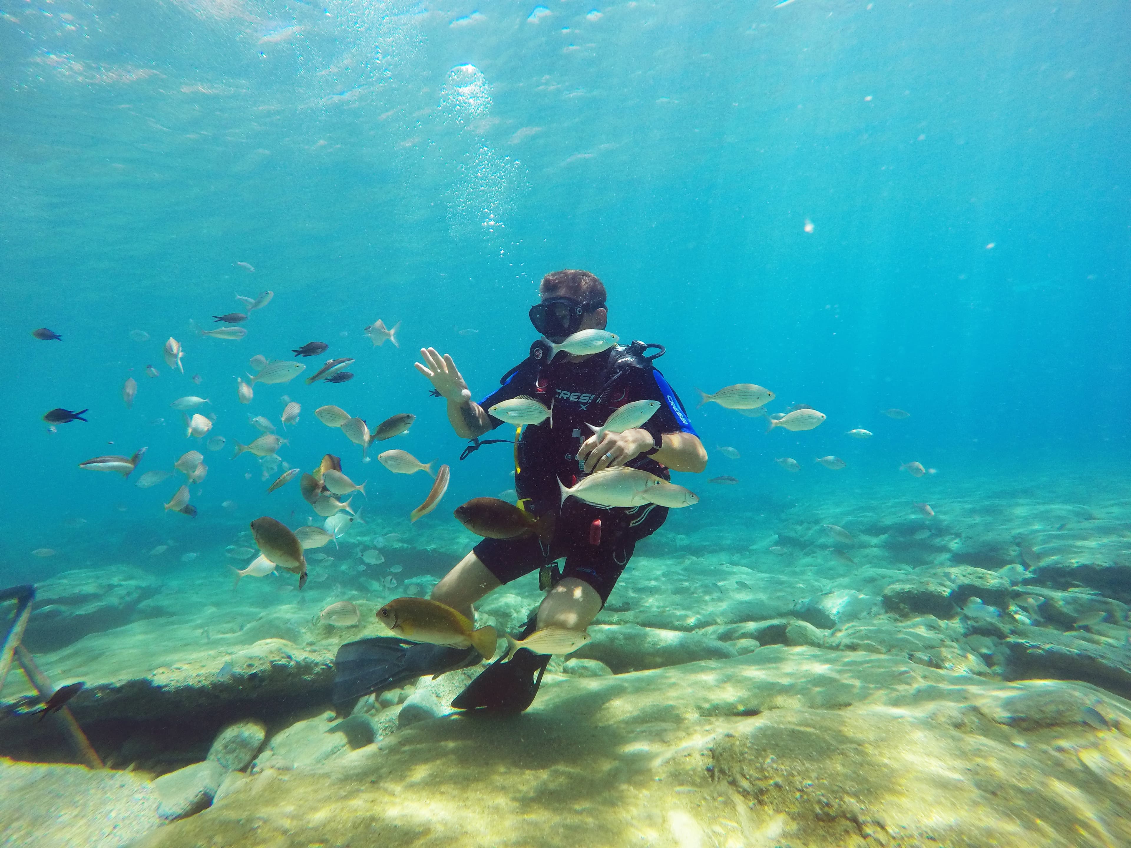 Stay Wet Diving Center