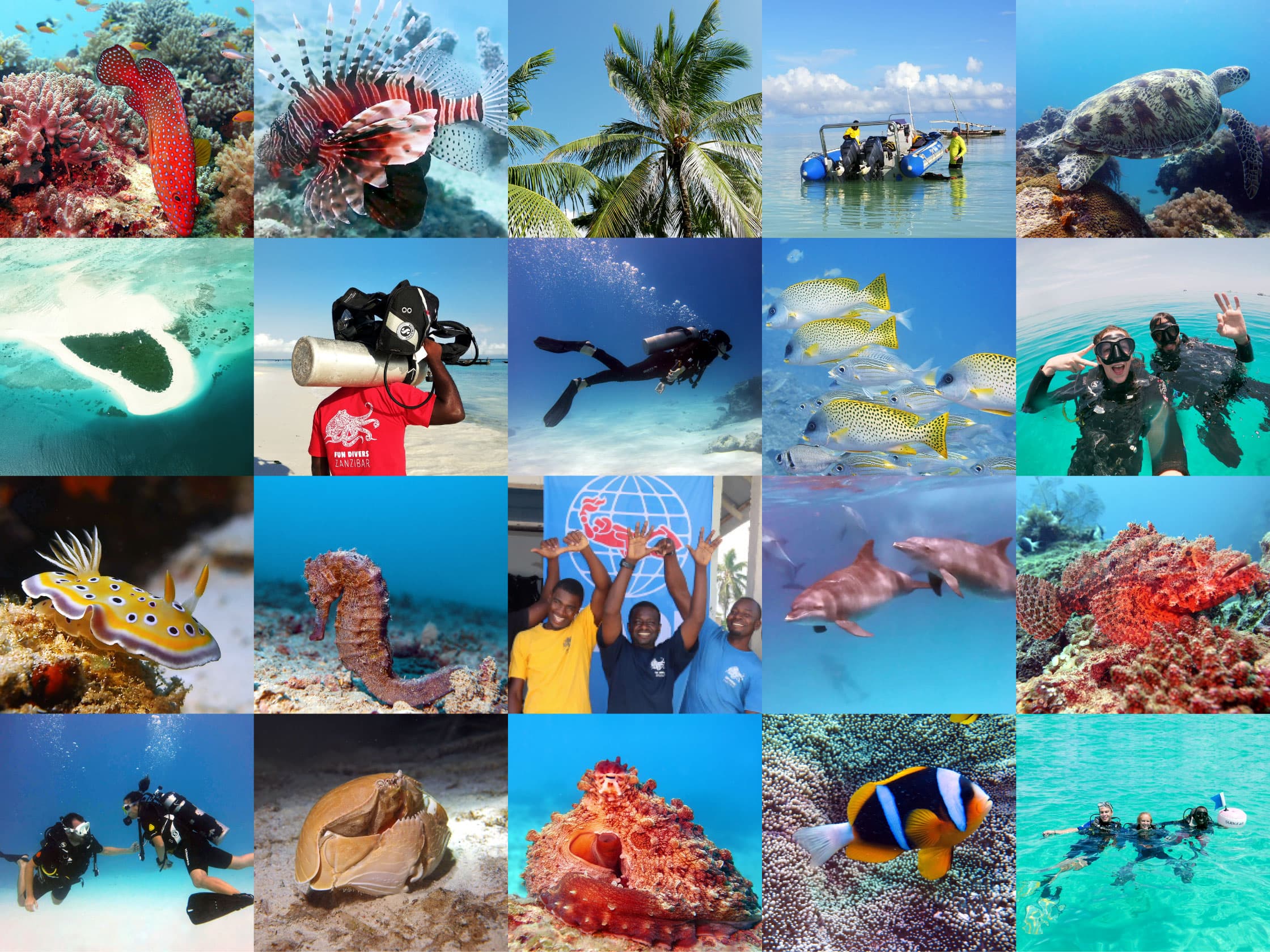 Fun Divers Zanzibar