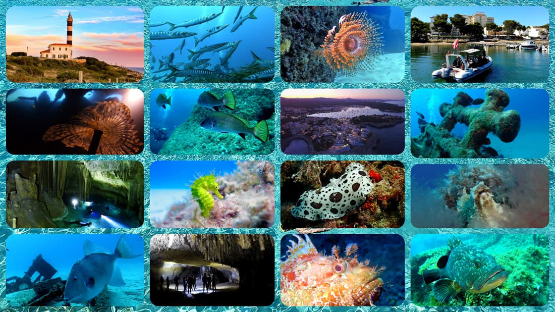 East Coast Divers Mallorca