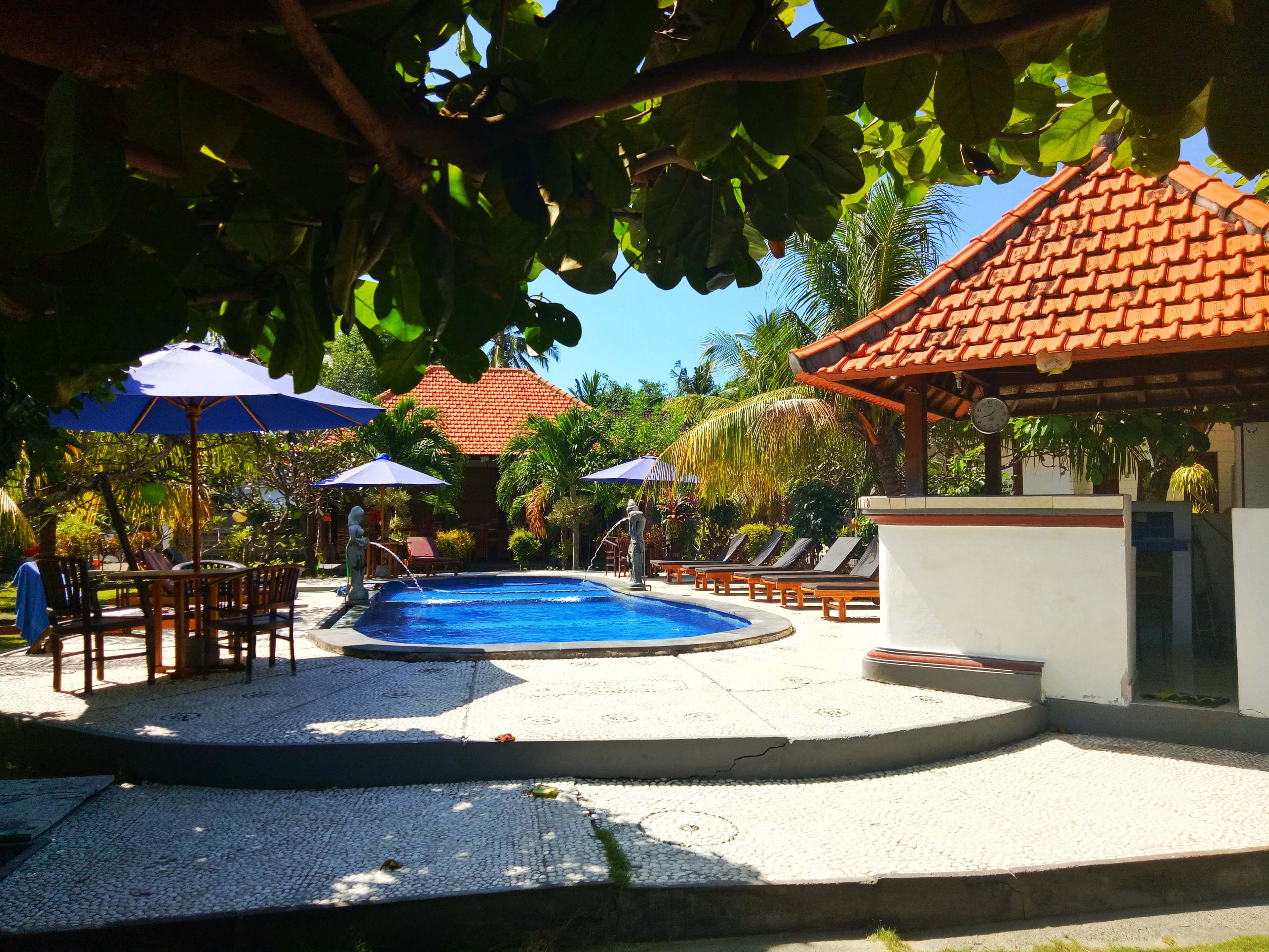 Two Fish Divers Penida