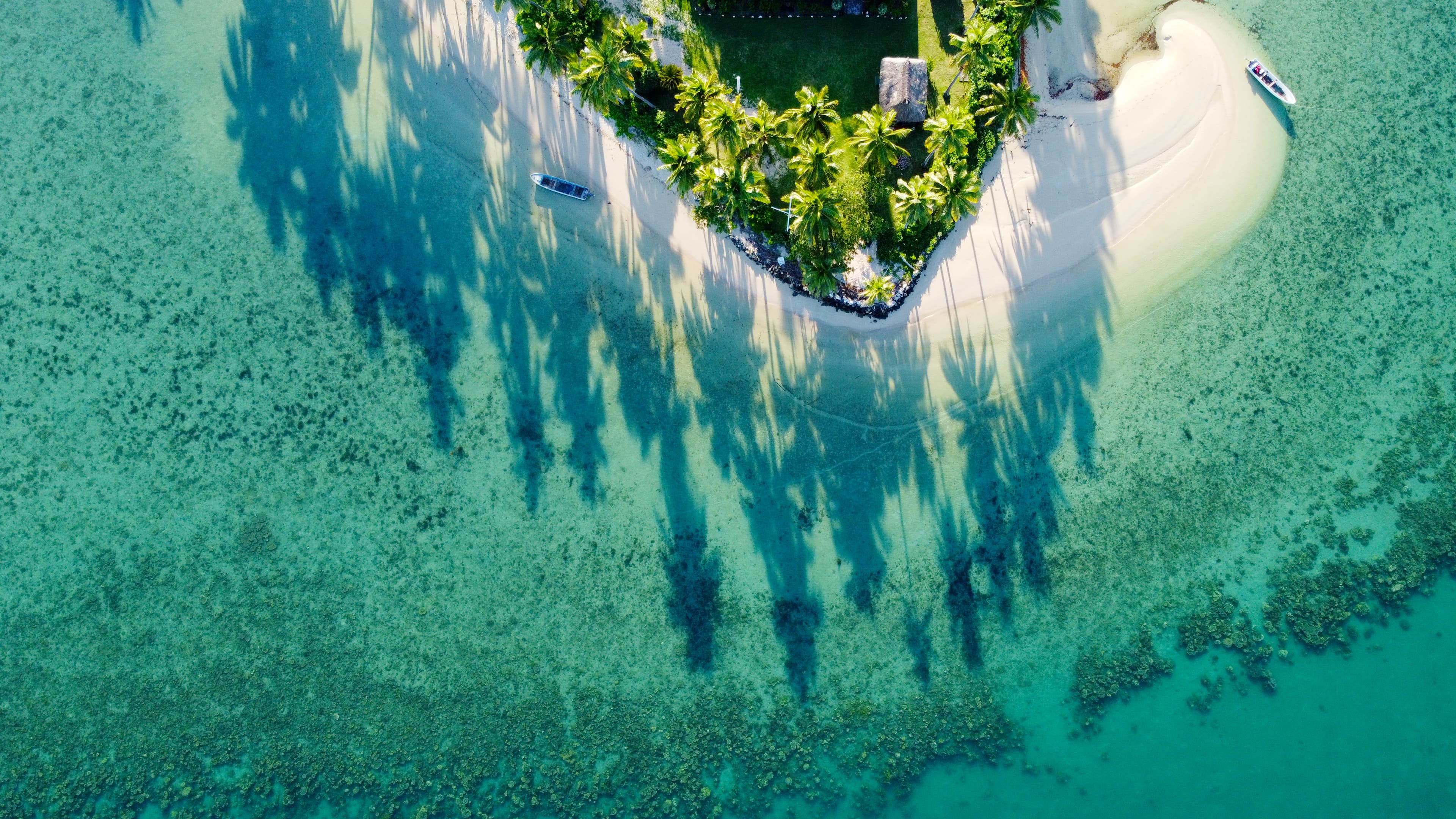 Great Sea Reef Divers