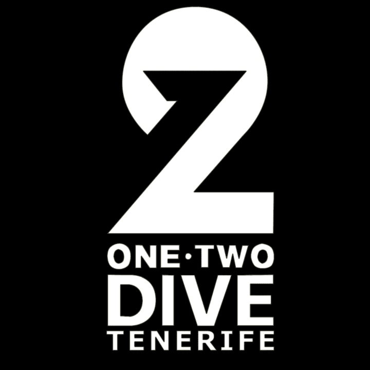 ONE TWO DIVE