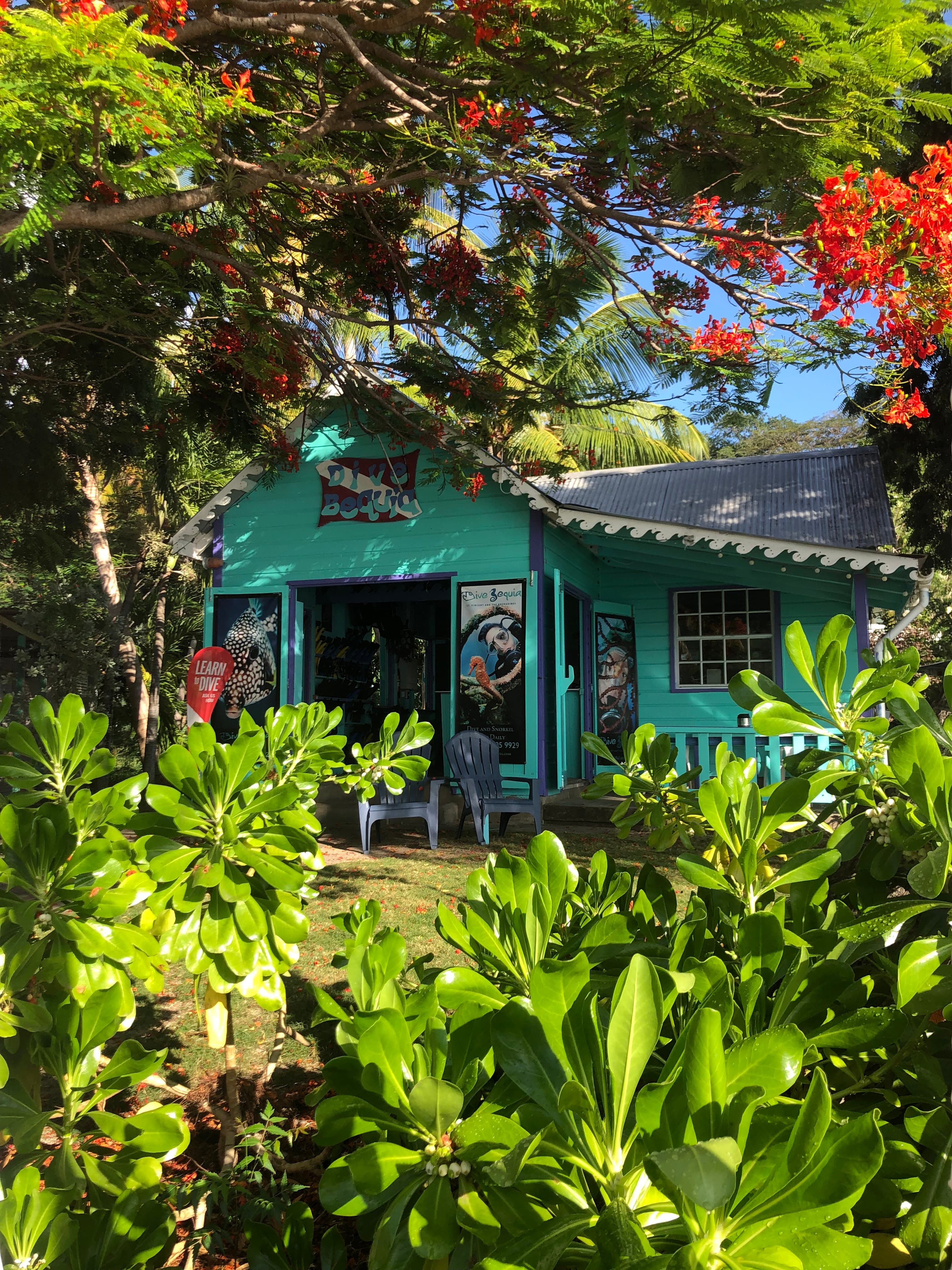 Dive Bequia