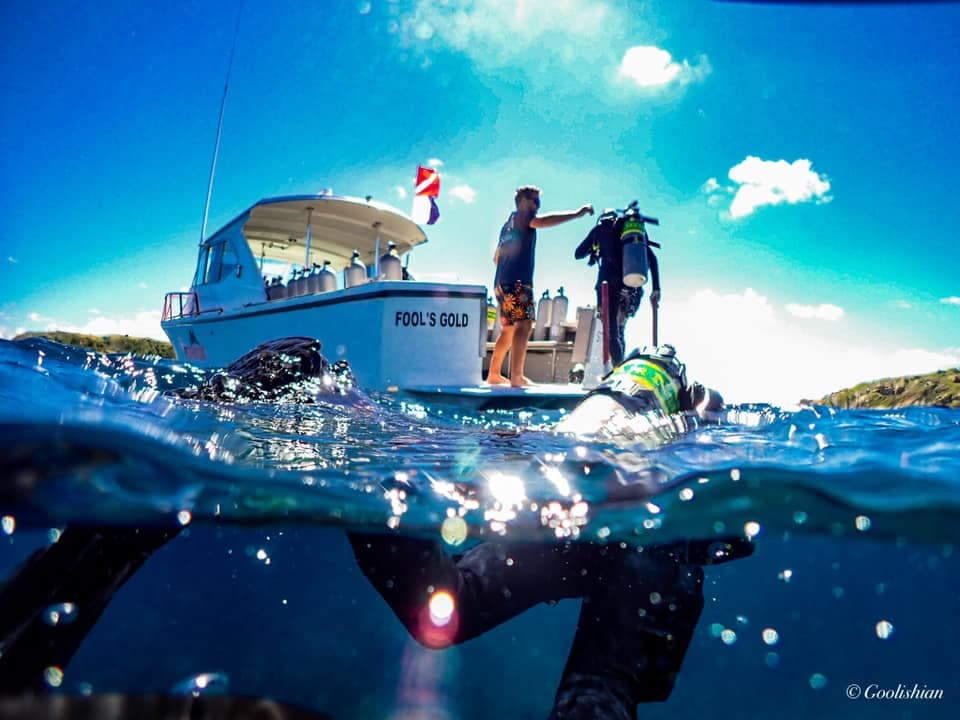 Red Hook Dive Center