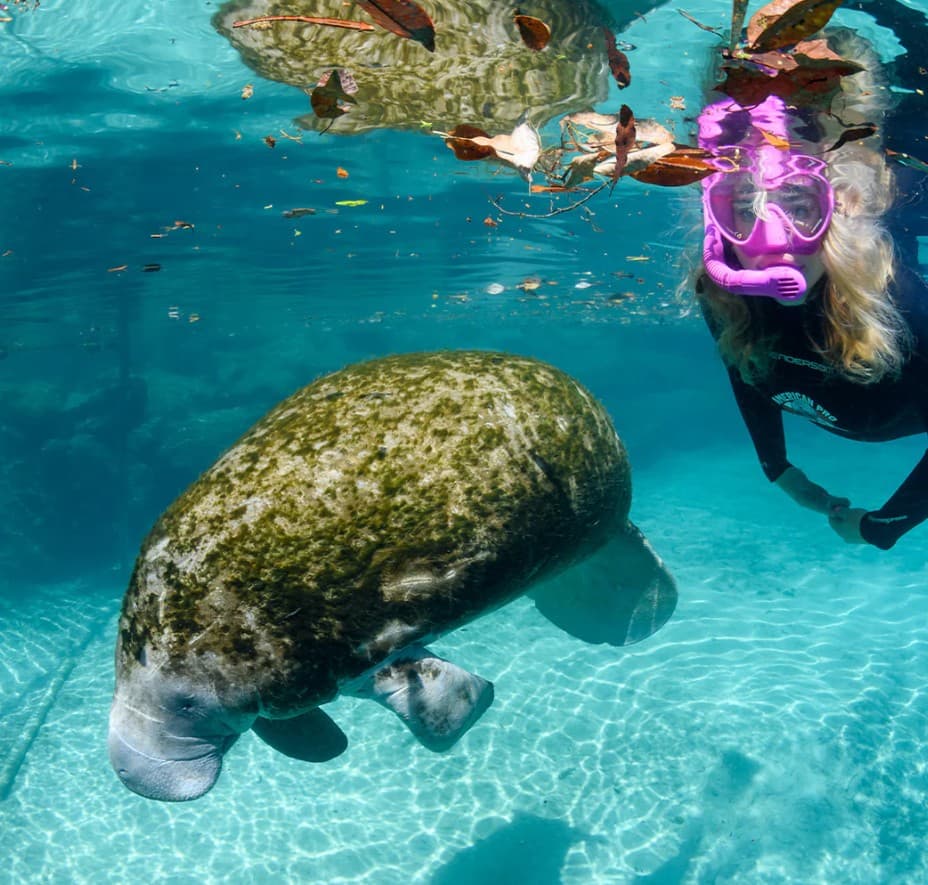 American Pro Diving Center, Inc.